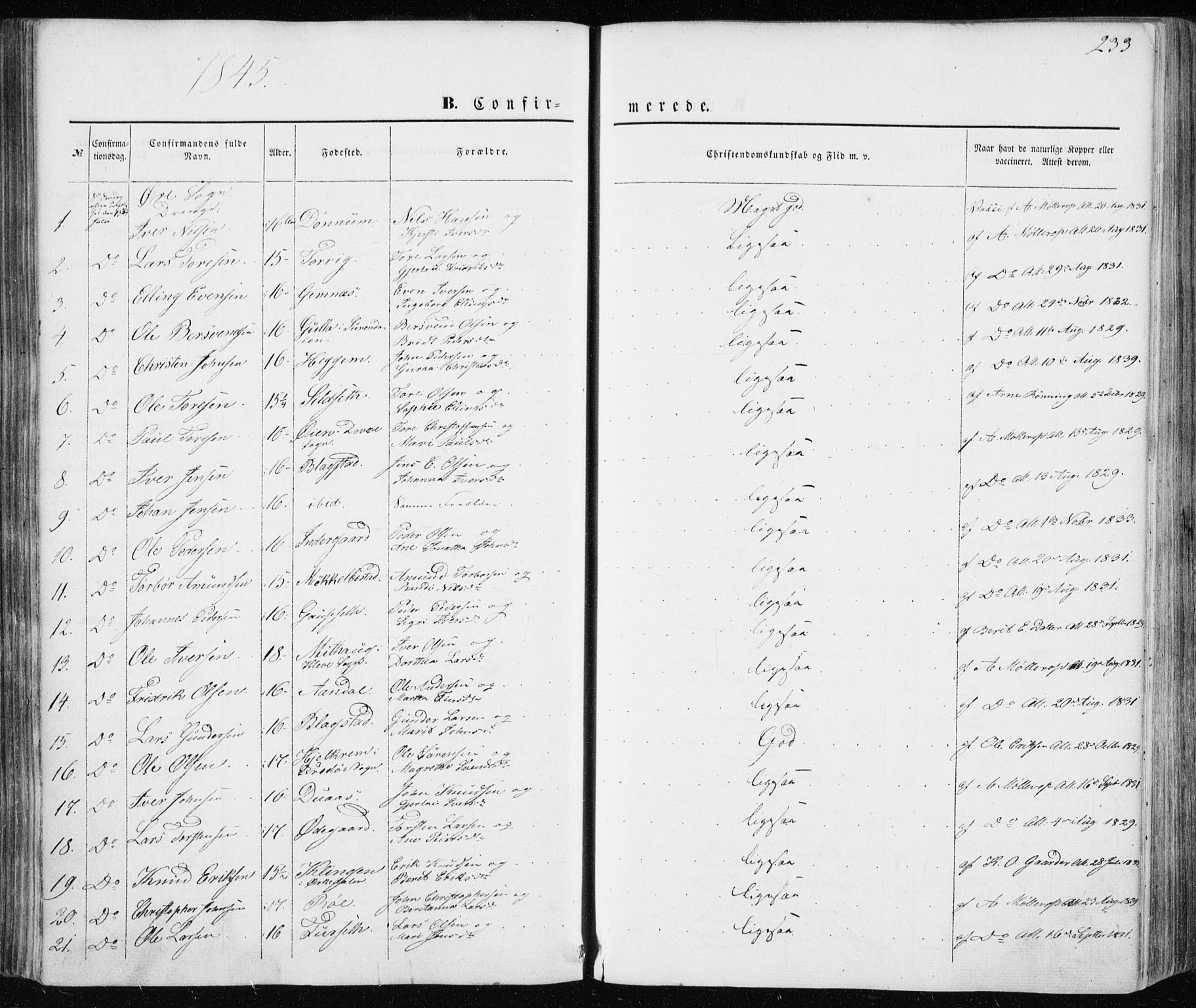 Ministerialprotokoller, klokkerbøker og fødselsregistre - Møre og Romsdal, AV/SAT-A-1454/586/L0984: Parish register (official) no. 586A10, 1844-1856, p. 233