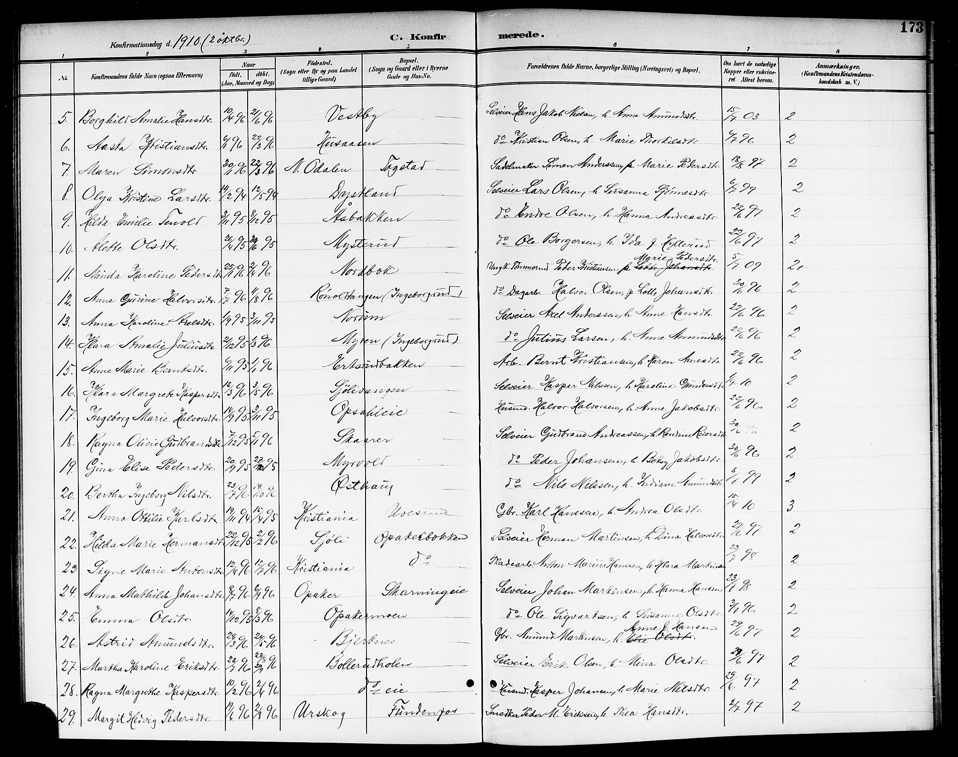 Nes prestekontor Kirkebøker, AV/SAO-A-10410/G/Ga/L0002: Parish register (copy) no. I 2, 1901-1912, p. 173