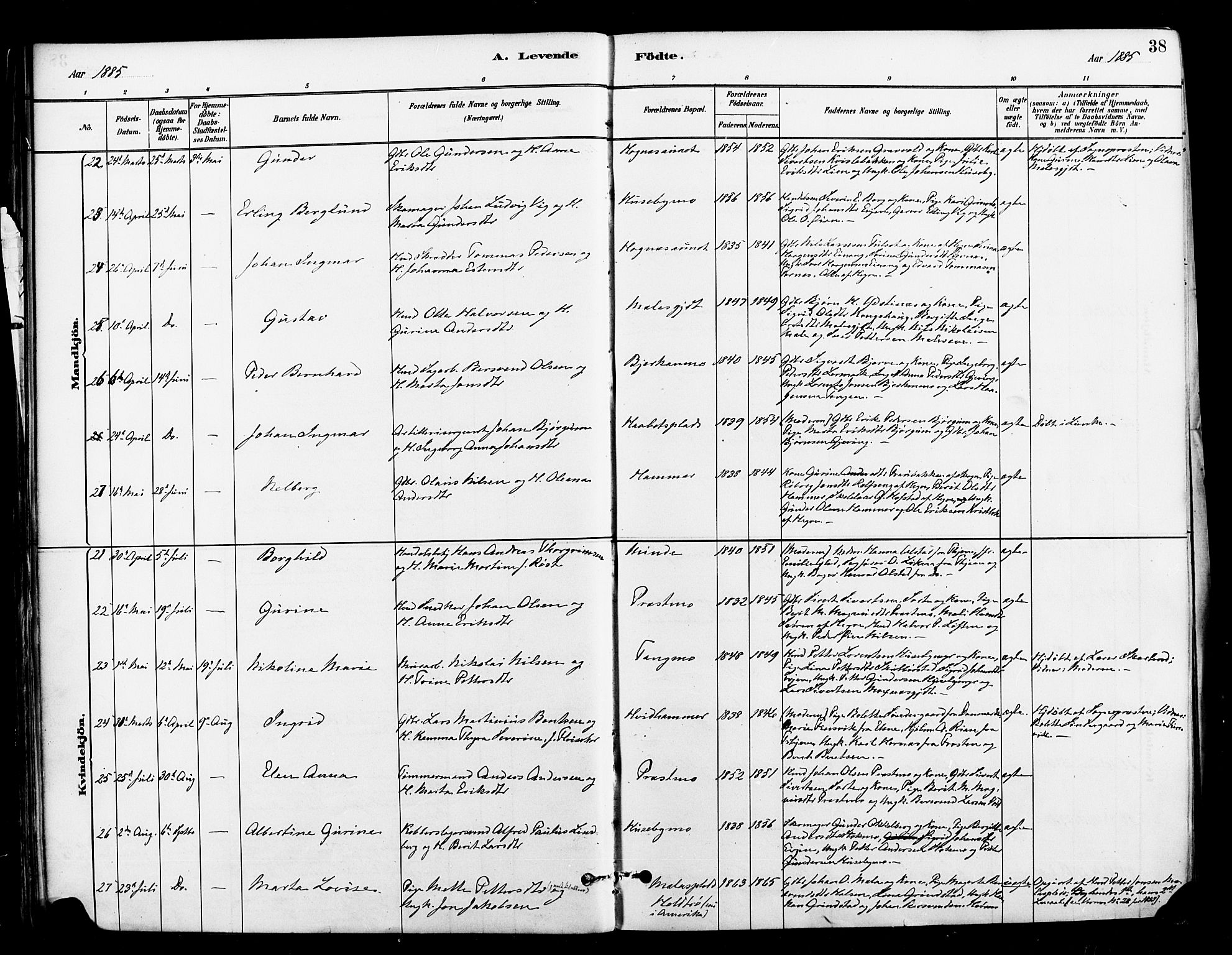 Ministerialprotokoller, klokkerbøker og fødselsregistre - Nord-Trøndelag, AV/SAT-A-1458/709/L0077: Parish register (official) no. 709A17, 1880-1895, p. 38