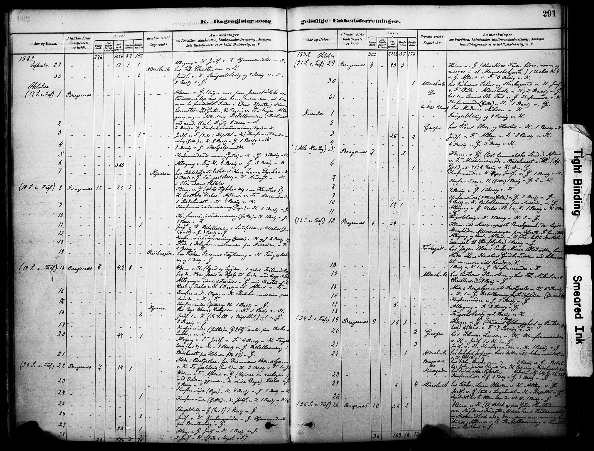 Bragernes kirkebøker, SAKO/A-6/F/Fc/L0005: Parish register (official) no. III 5, 1878-1890, p. 291