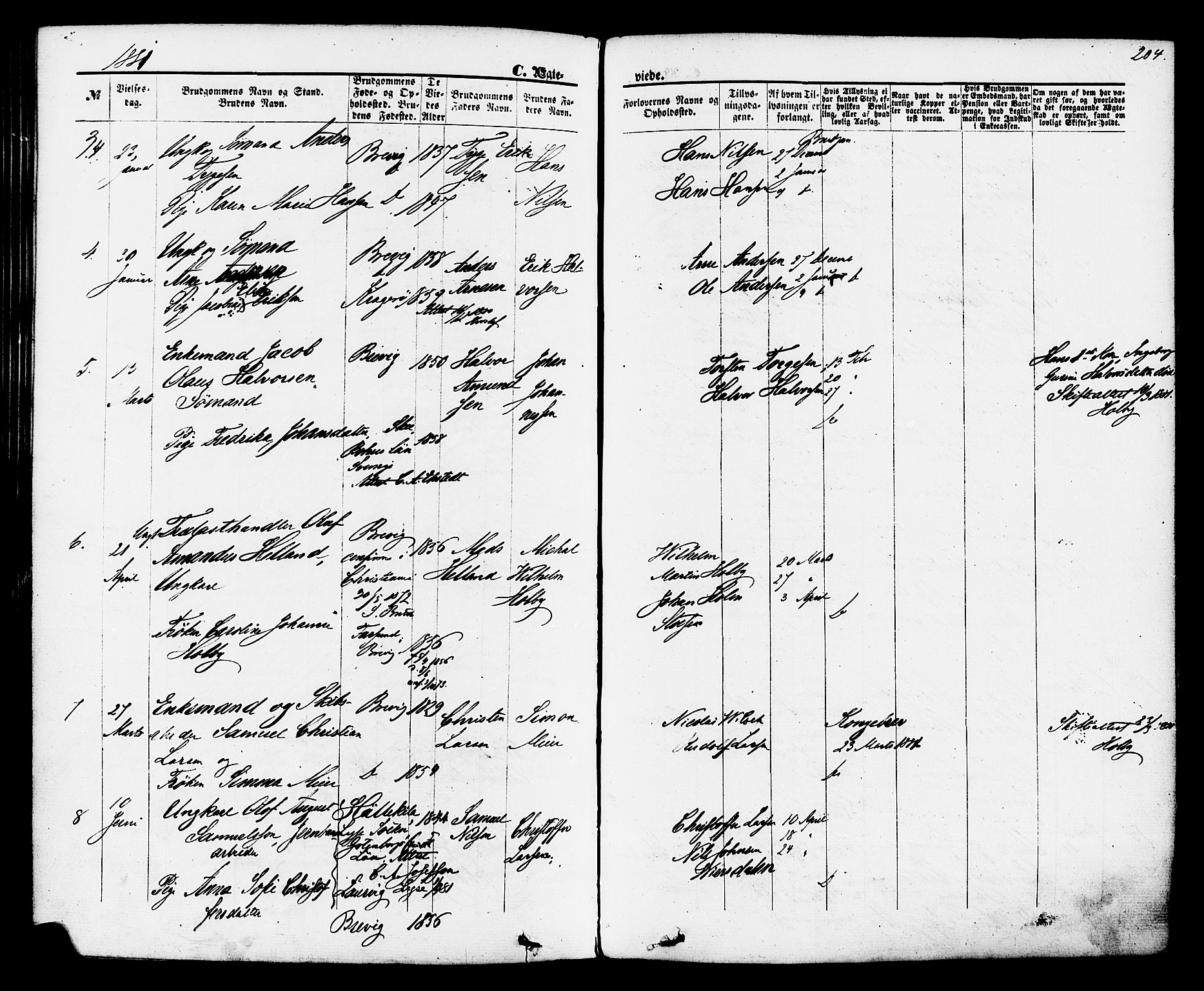 Brevik kirkebøker, SAKO/A-255/F/Fa/L0006: Parish register (official) no. 6, 1866-1881, p. 204