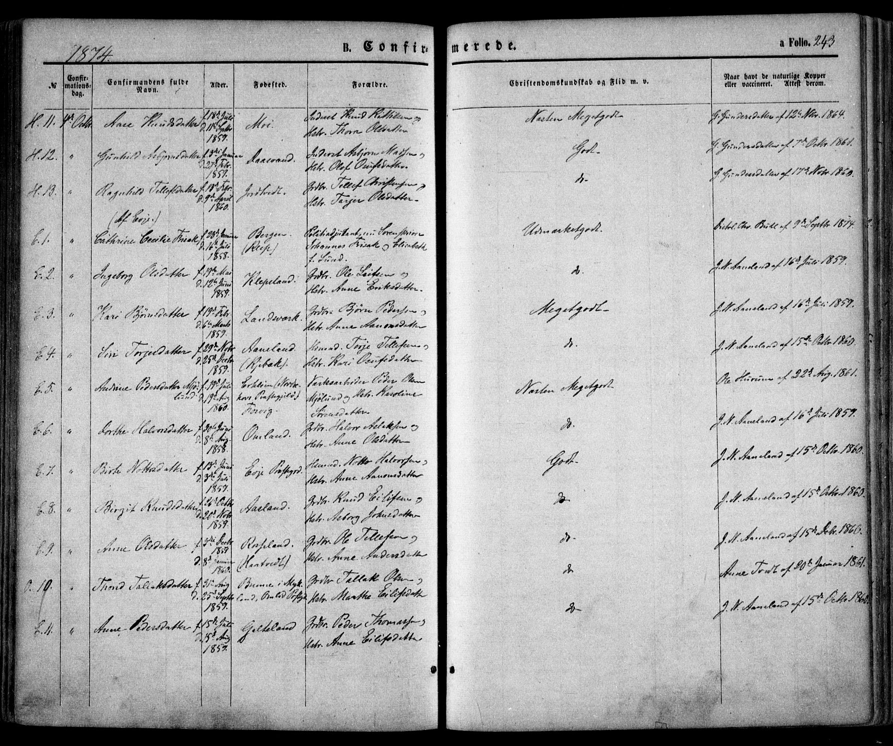 Evje sokneprestkontor, SAK/1111-0008/F/Fa/Faa/L0006: Parish register (official) no. A 6, 1866-1884, p. 243