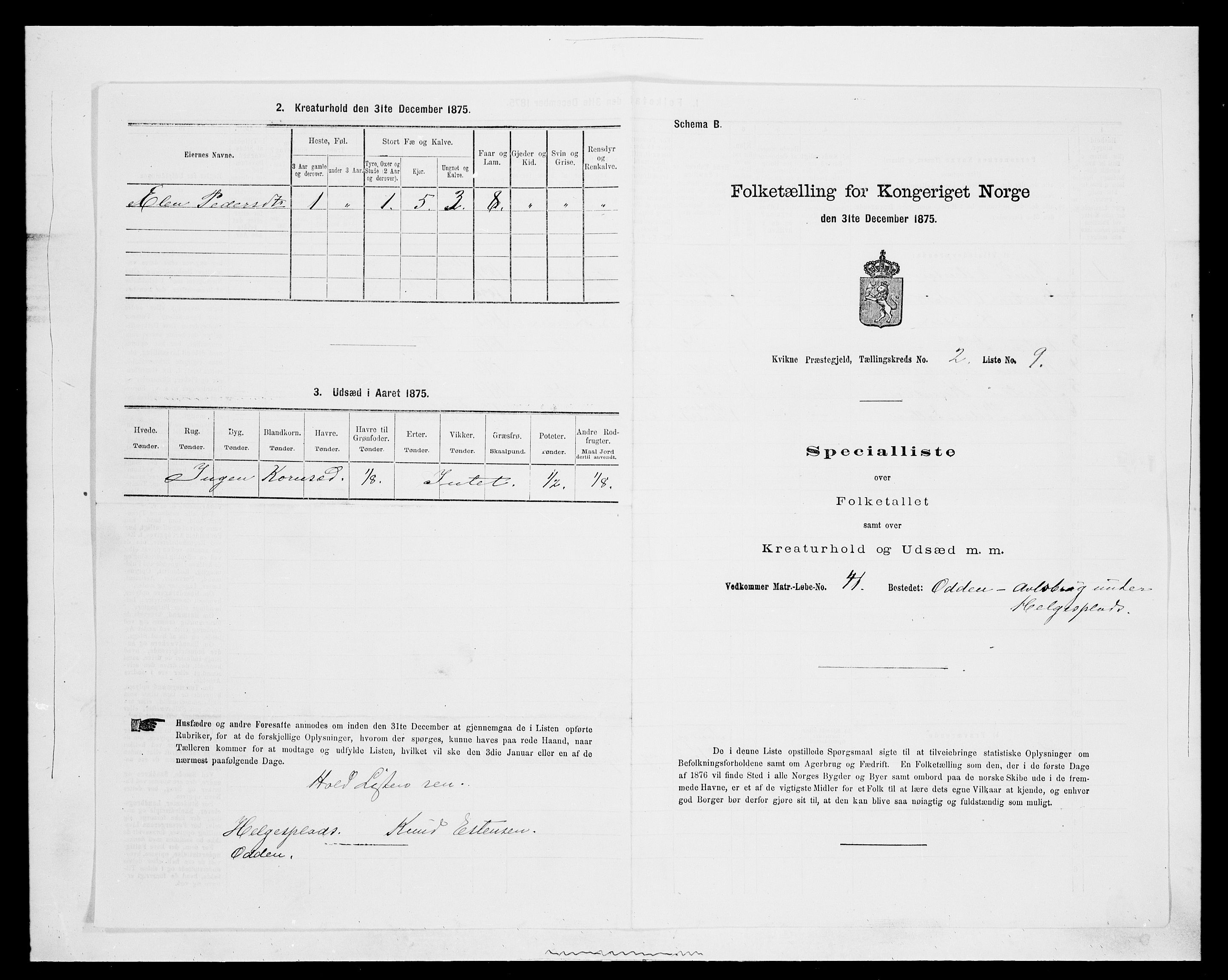 SAH, 1875 census for 0440P Kvikne, 1875, p. 145