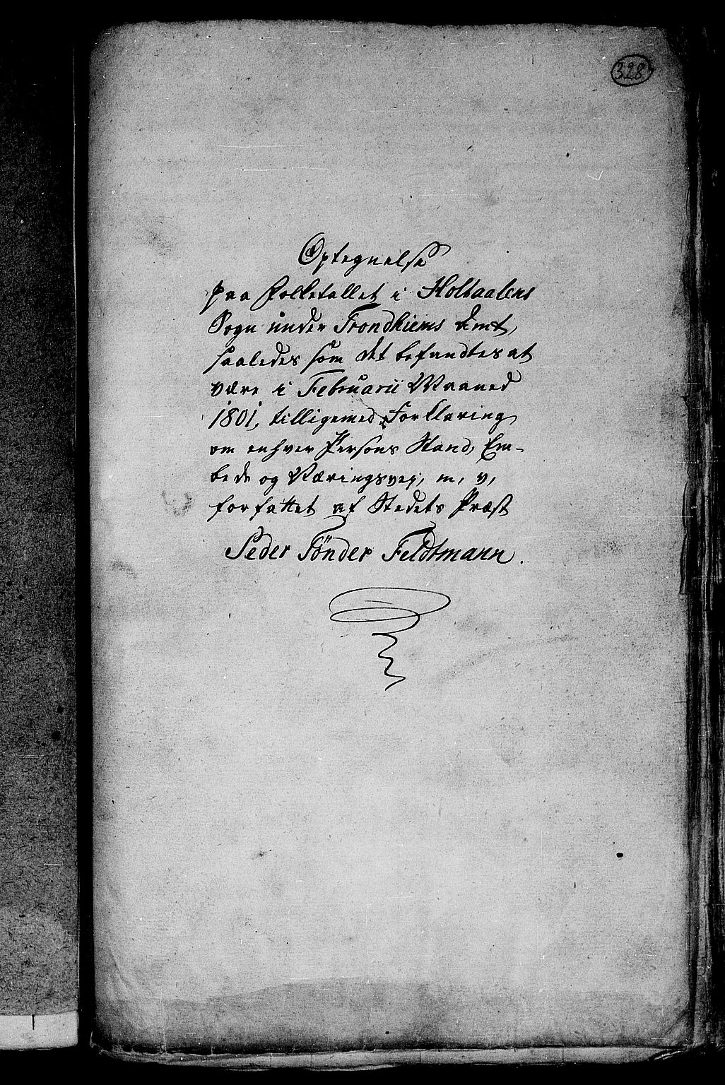 RA, 1801 census for 1645P Haltdalen, 1801, p. 328a
