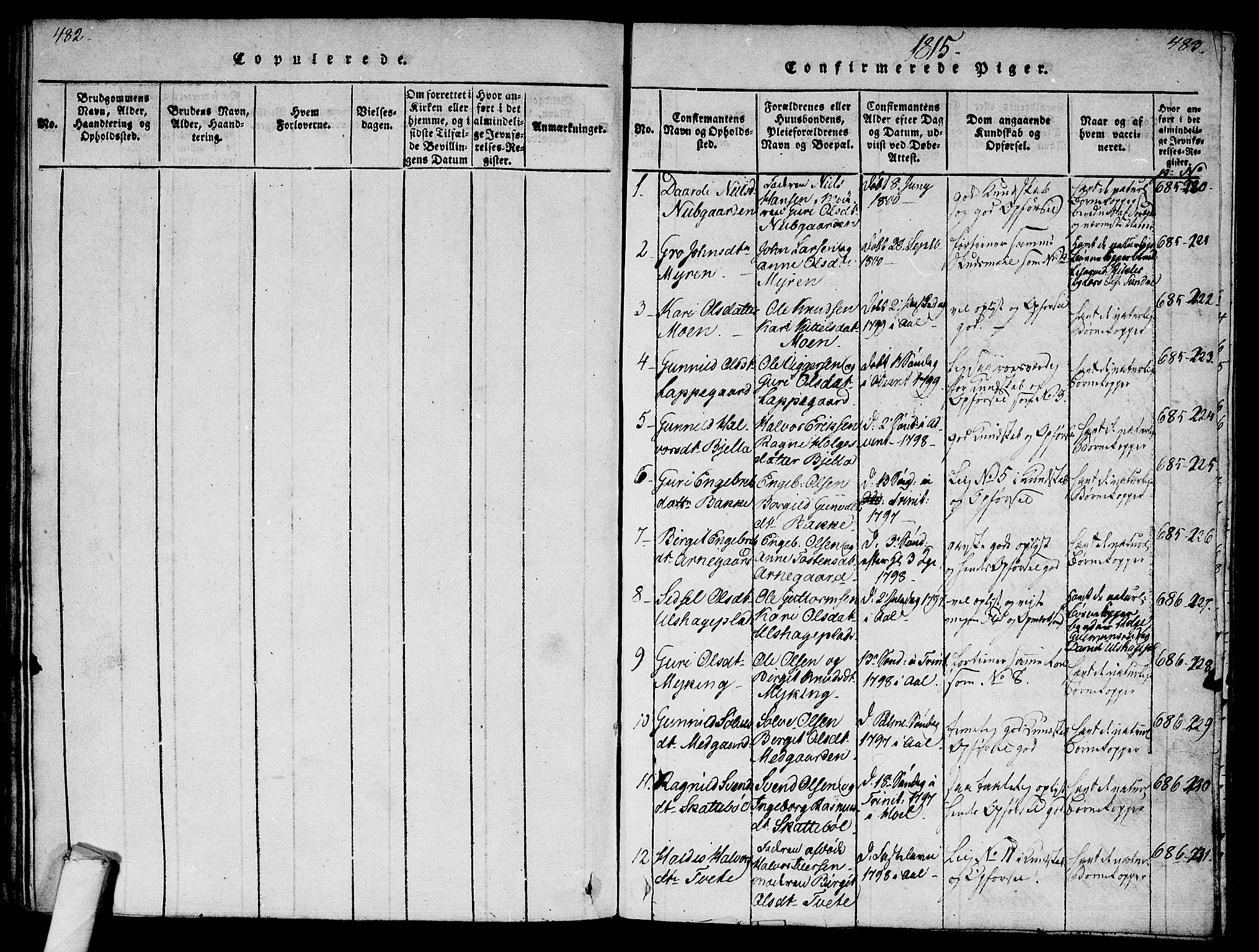 Ål kirkebøker, SAKO/A-249/F/Fa/L0004: Parish register (official) no. I 4, 1815-1825, p. 482-483