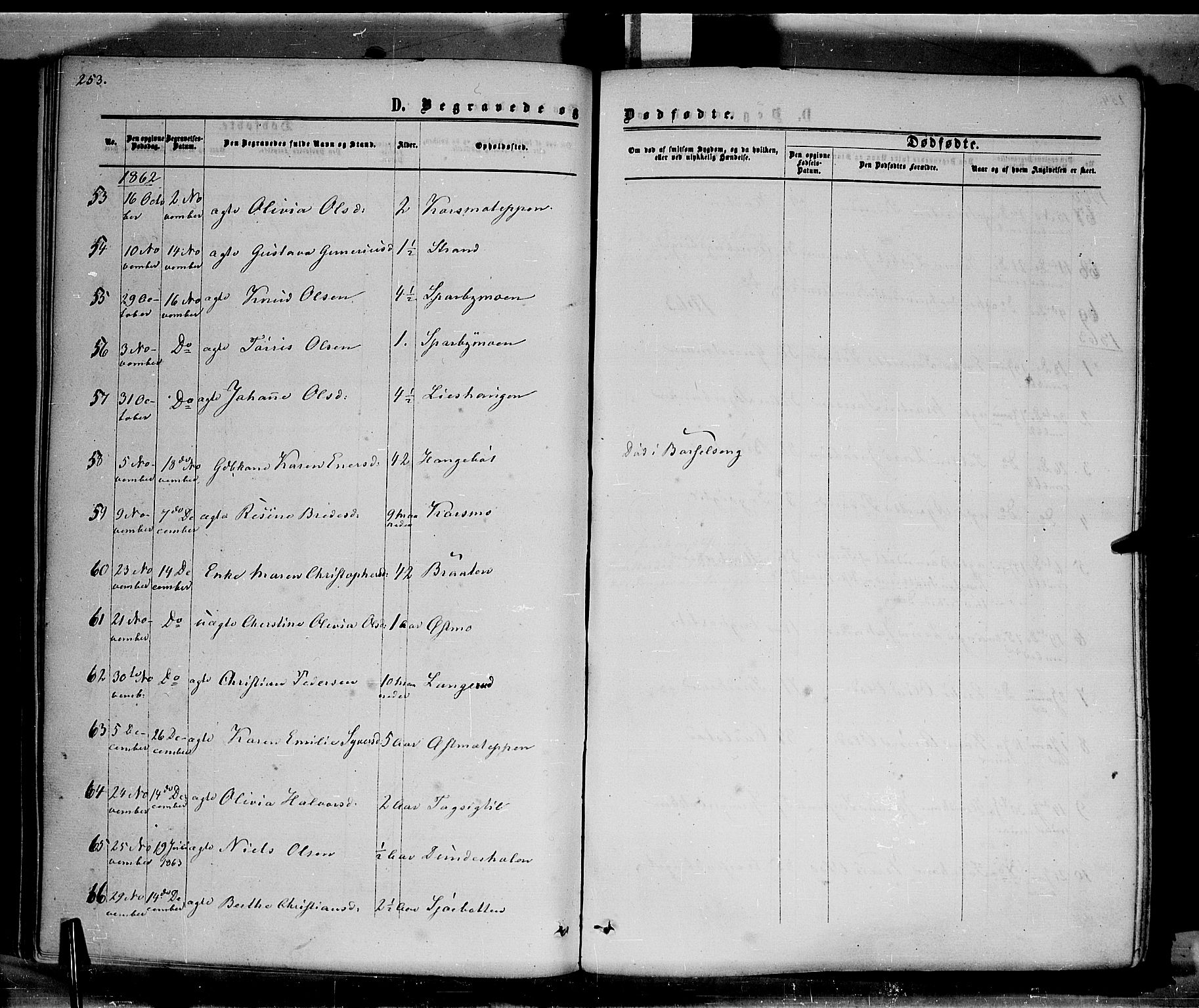 Hof prestekontor, AV/SAH-PREST-038/H/Ha/Haa/L0009: Parish register (official) no. 9, 1862-1877, p. 253