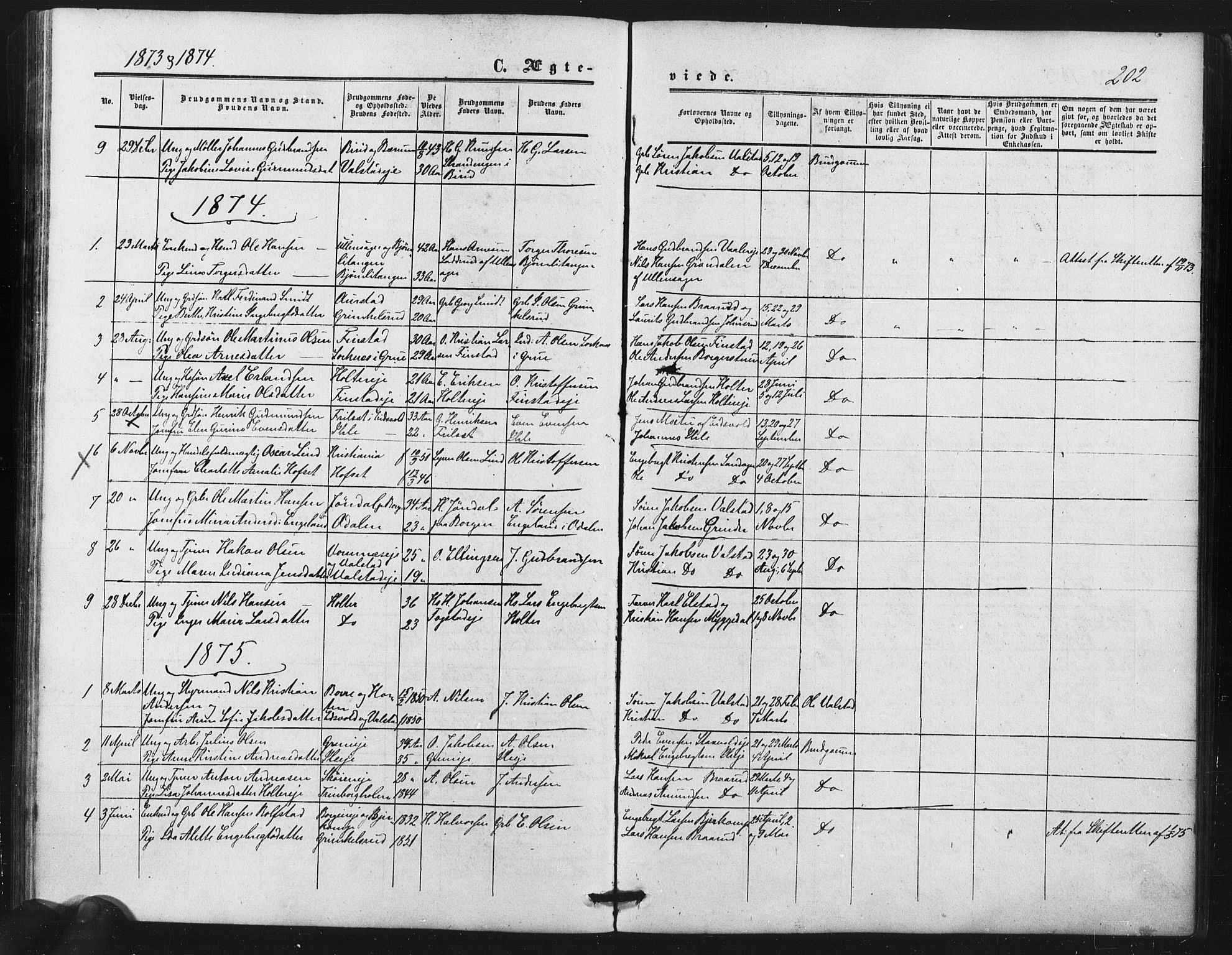 Nes prestekontor Kirkebøker, AV/SAO-A-10410/F/Fb/L0001: Parish register (official) no. II 1, 1859-1882, p. 202