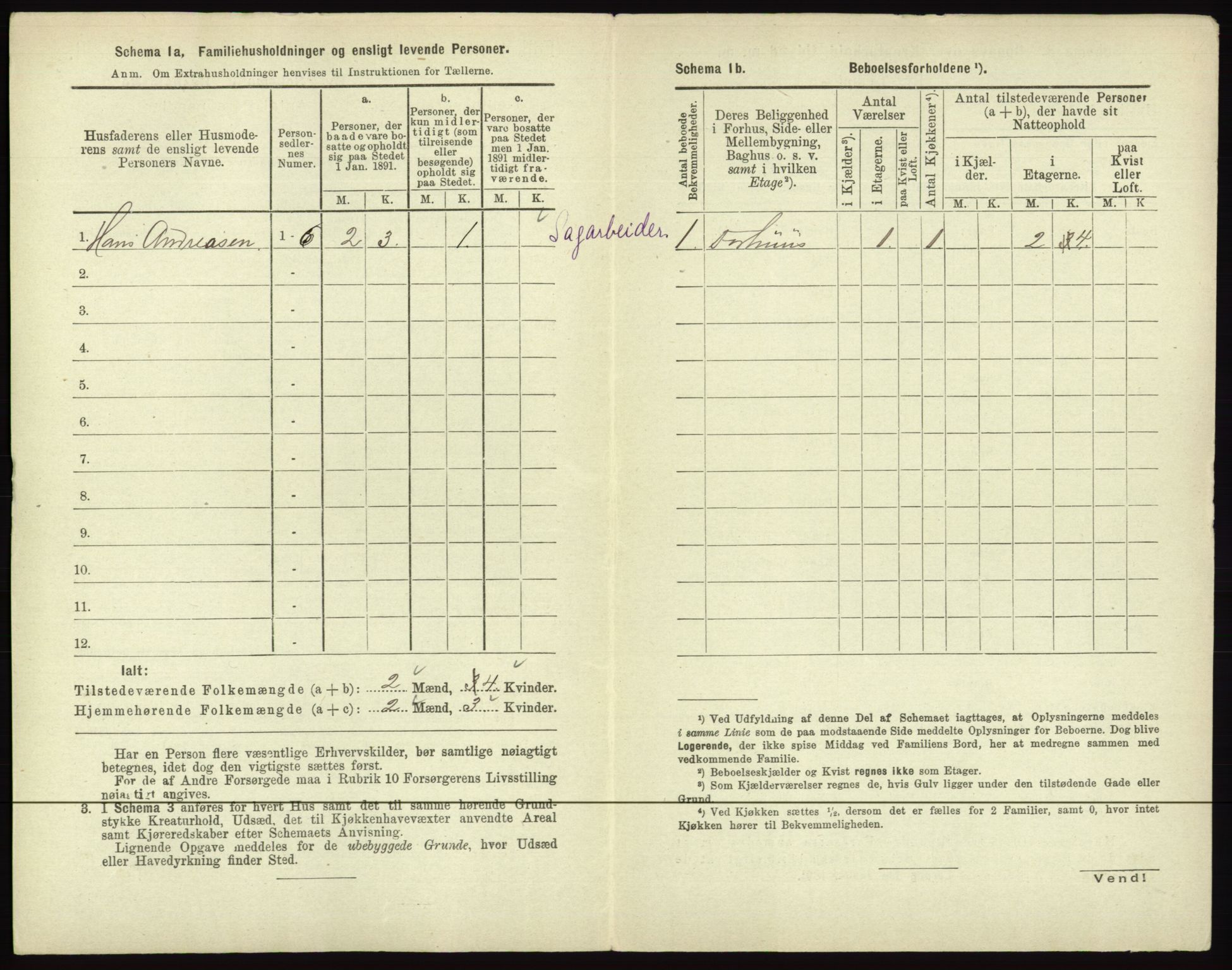 RA, 1891 census for 0602 Drammen, 1891, p. 196