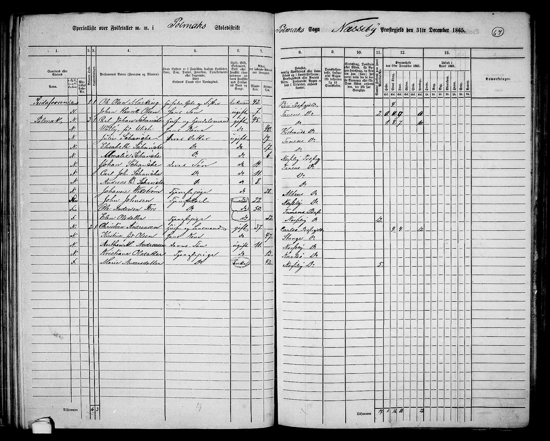 RA, 1865 census for Nesseby, 1865, p. 50