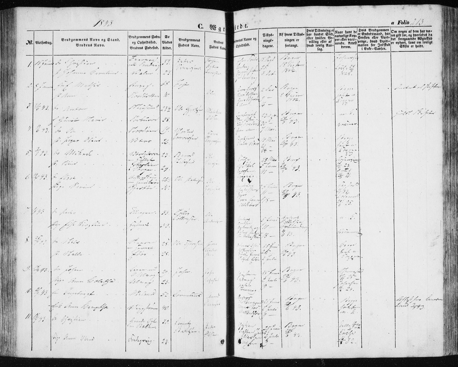 Ministerialprotokoller, klokkerbøker og fødselsregistre - Sør-Trøndelag, SAT/A-1456/634/L0529: Parish register (official) no. 634A05, 1843-1851, p. 213