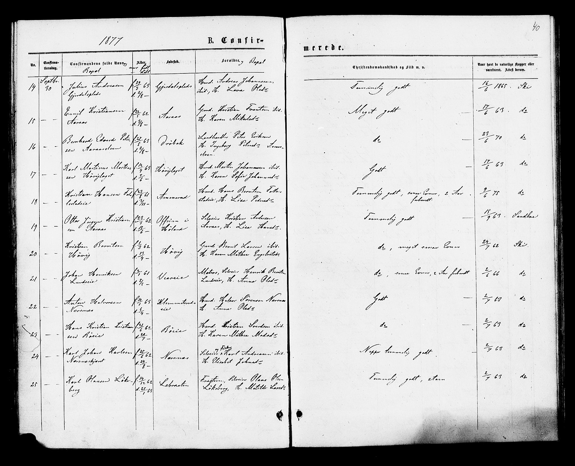 Røyken kirkebøker, AV/SAKO-A-241/F/Fa/L0007: Parish register (official) no. 7, 1876-1879, p. 40