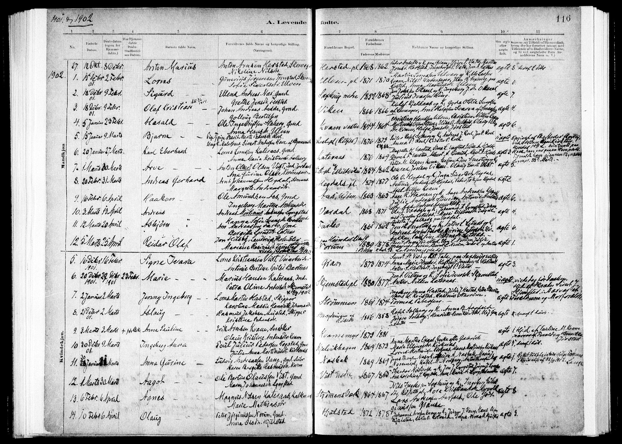 Ministerialprotokoller, klokkerbøker og fødselsregistre - Nord-Trøndelag, SAT/A-1458/730/L0285: Parish register (official) no. 730A10, 1879-1914, p. 116
