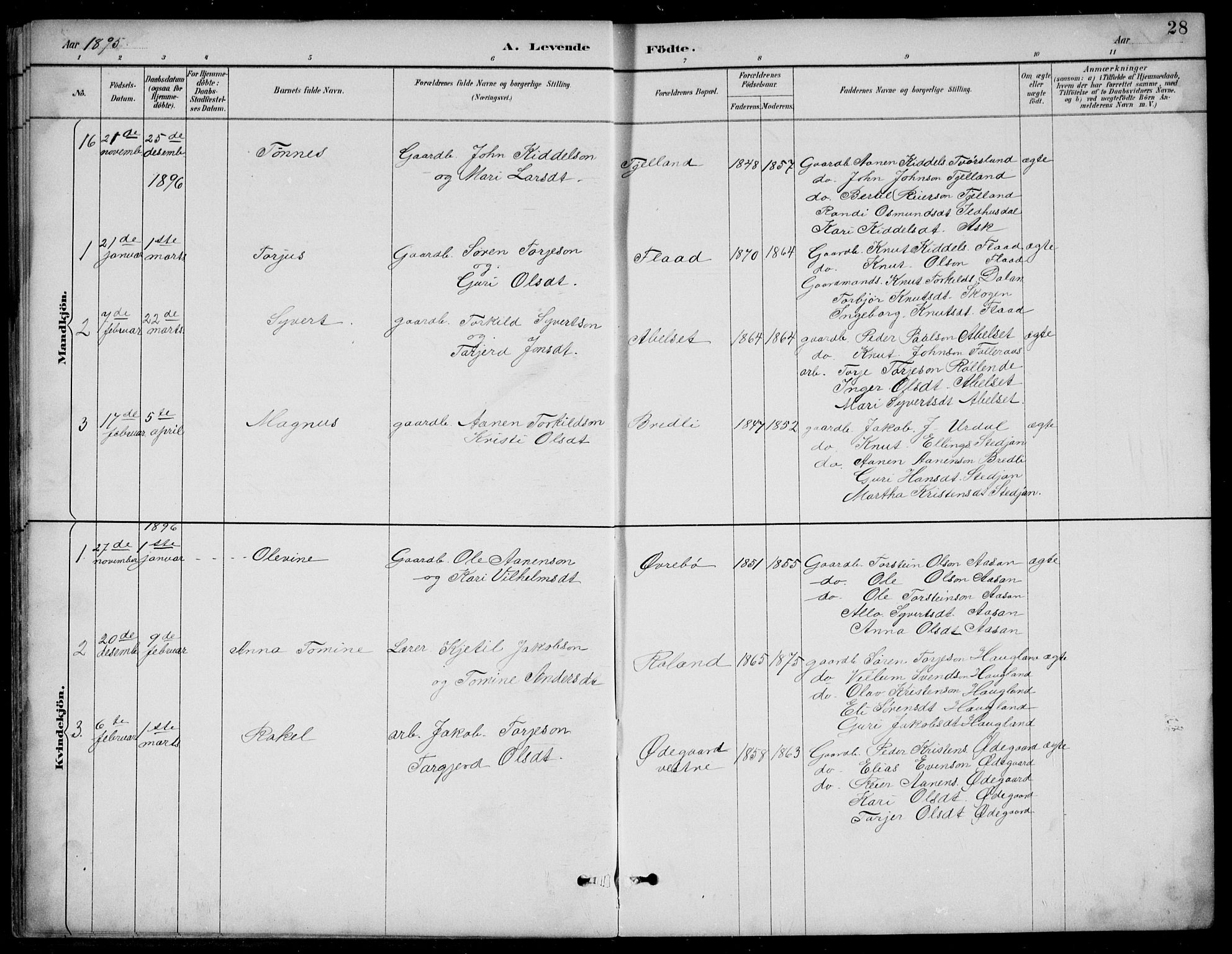 Bjelland sokneprestkontor, AV/SAK-1111-0005/F/Fb/Fba/L0005: Parish register (copy) no. B 5, 1887-1923, p. 28