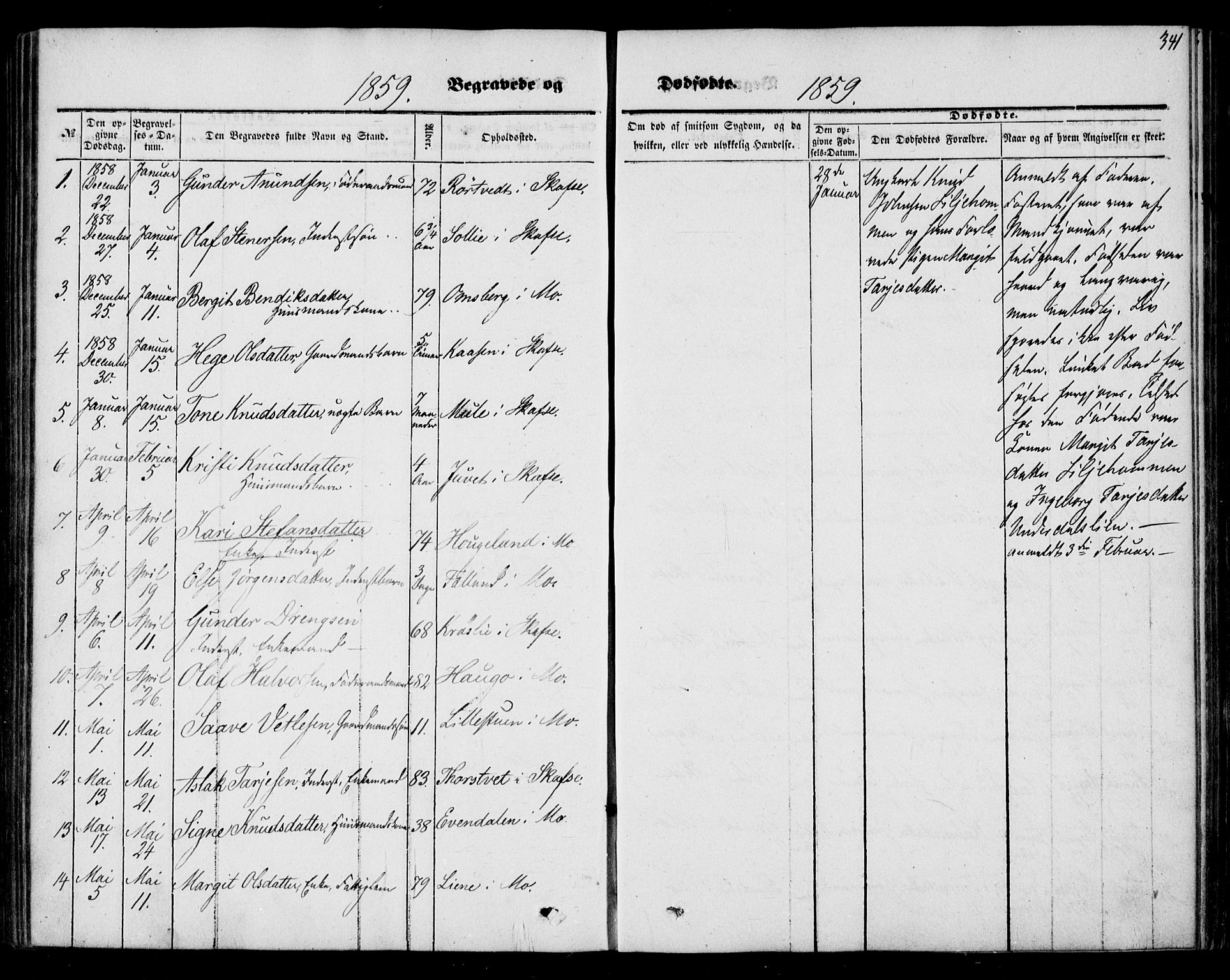 Mo kirkebøker, SAKO/A-286/F/Fa/L0005: Parish register (official) no. I 5, 1844-1864, p. 341