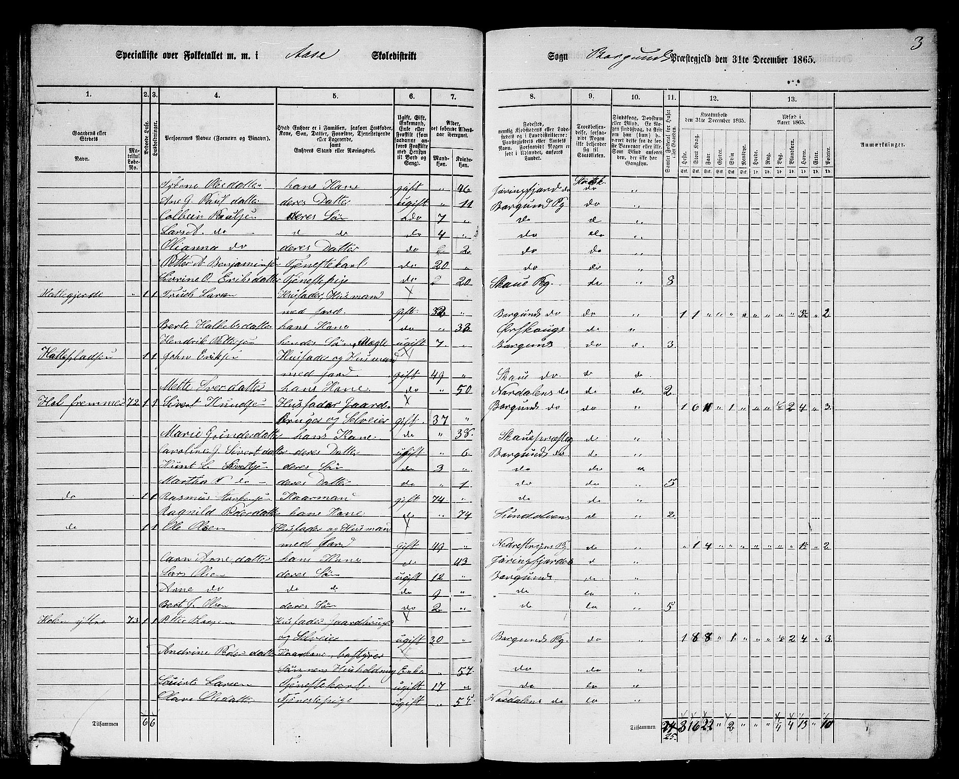 RA, 1865 census for Borgund, 1865, p. 50