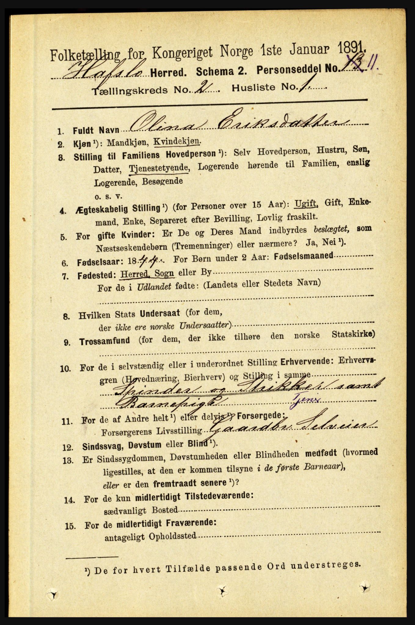 RA, 1891 census for 1425 Hafslo, 1891, p. 553