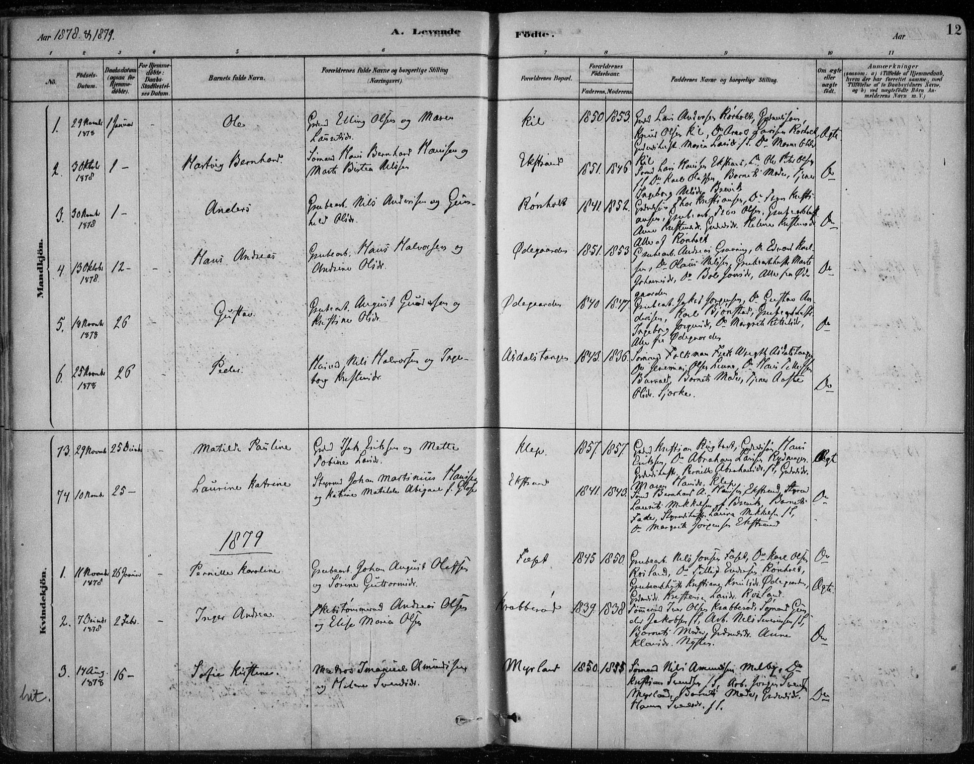 Bamble kirkebøker, SAKO/A-253/F/Fa/L0007: Parish register (official) no. I 7, 1878-1888, p. 12
