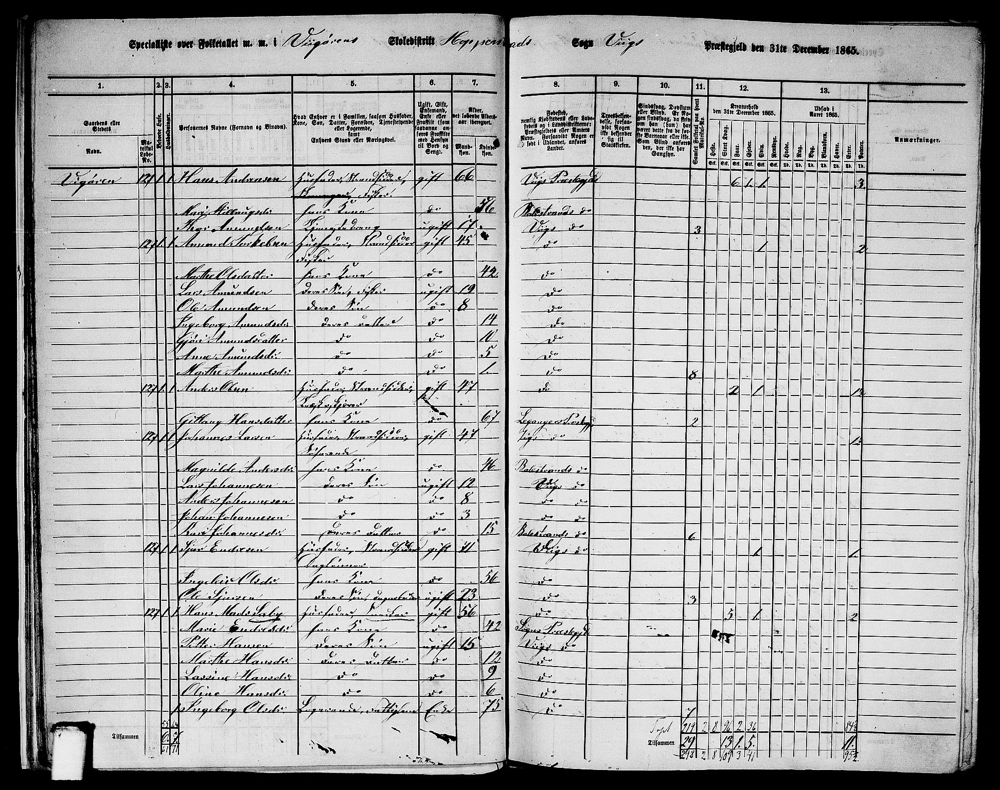 RA, 1865 census for Vik, 1865, p. 19