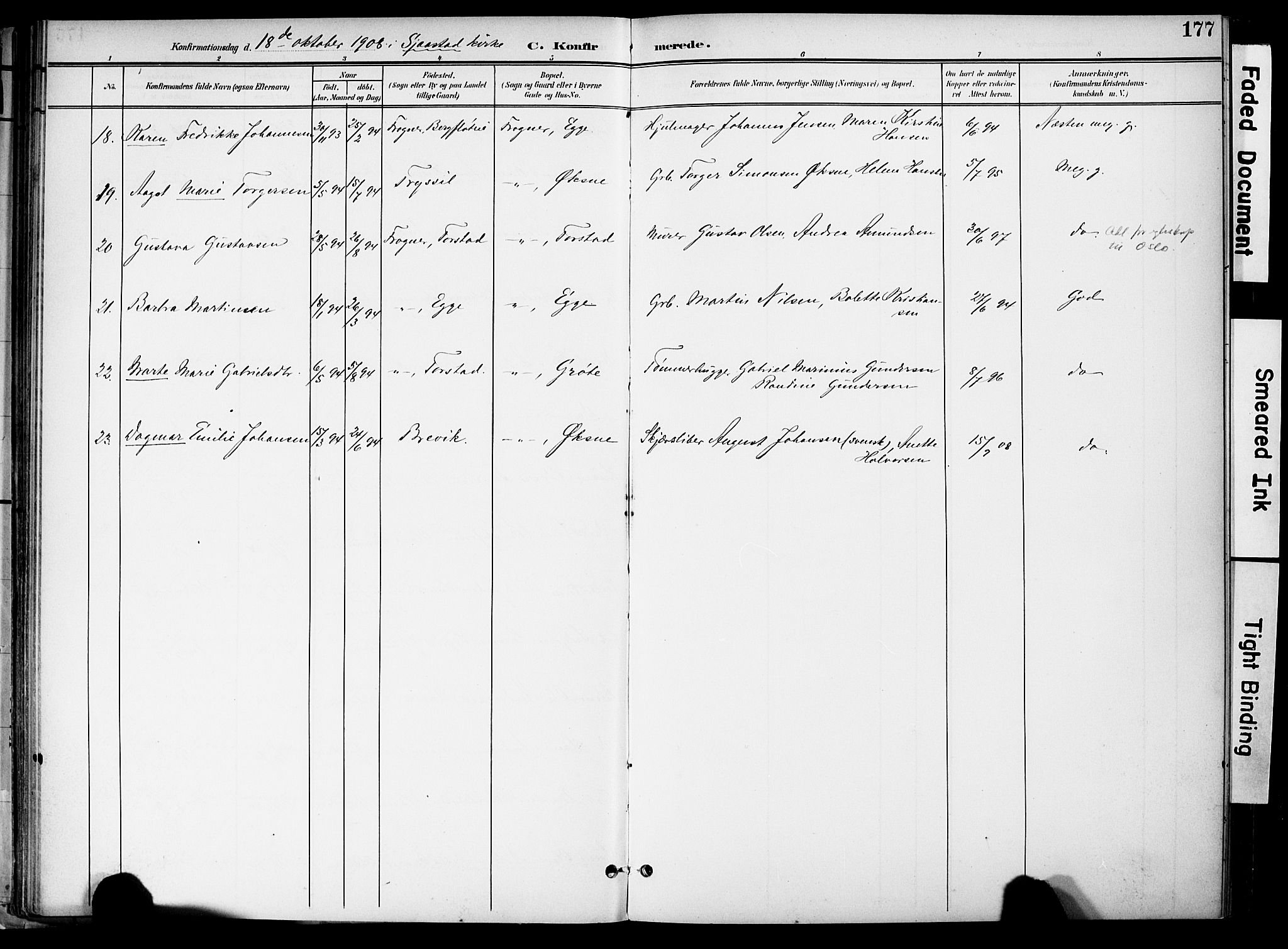 Lier kirkebøker, AV/SAKO-A-230/F/Fa/L0017: Parish register (official) no. I 17, 1901-1908, p. 177