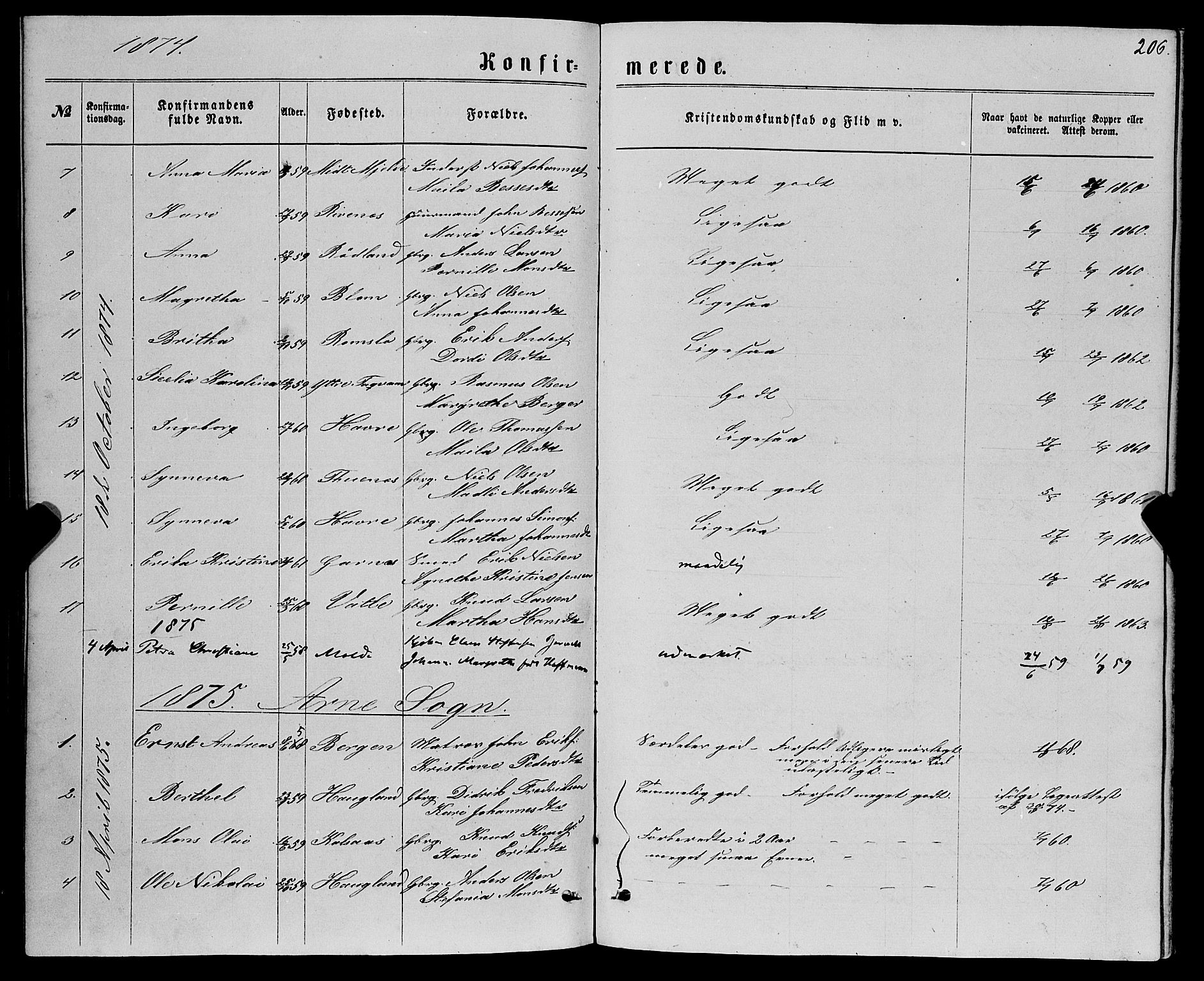 Haus sokneprestembete, SAB/A-75601/H/Haa: Parish register (official) no. A 18, 1871-1877, p. 206