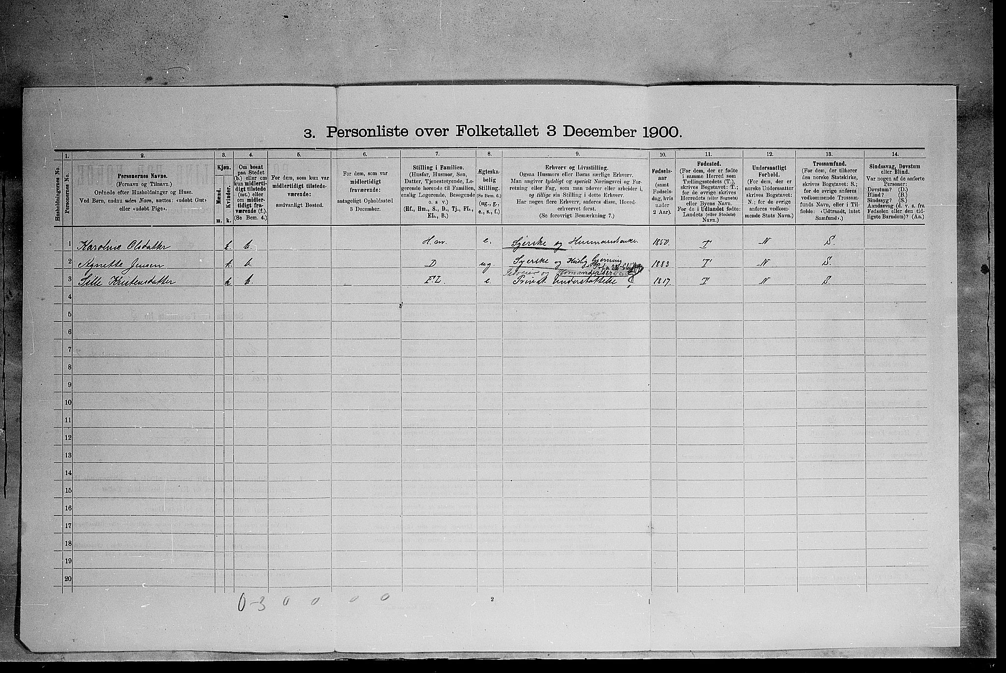 SAH, 1900 census for Elverum, 1900, p. 806