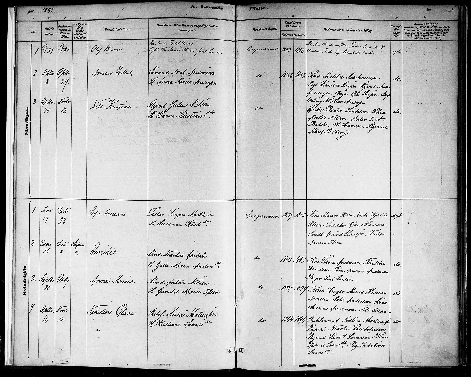 Borre kirkebøker, AV/SAKO-A-338/F/Fb/L0001: Parish register (official) no. II 1, 1878-1892, p. 5