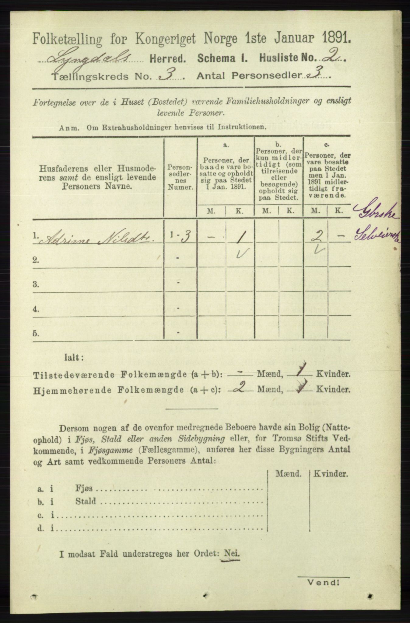 RA, 1891 census for 1032 Lyngdal, 1891, p. 1031