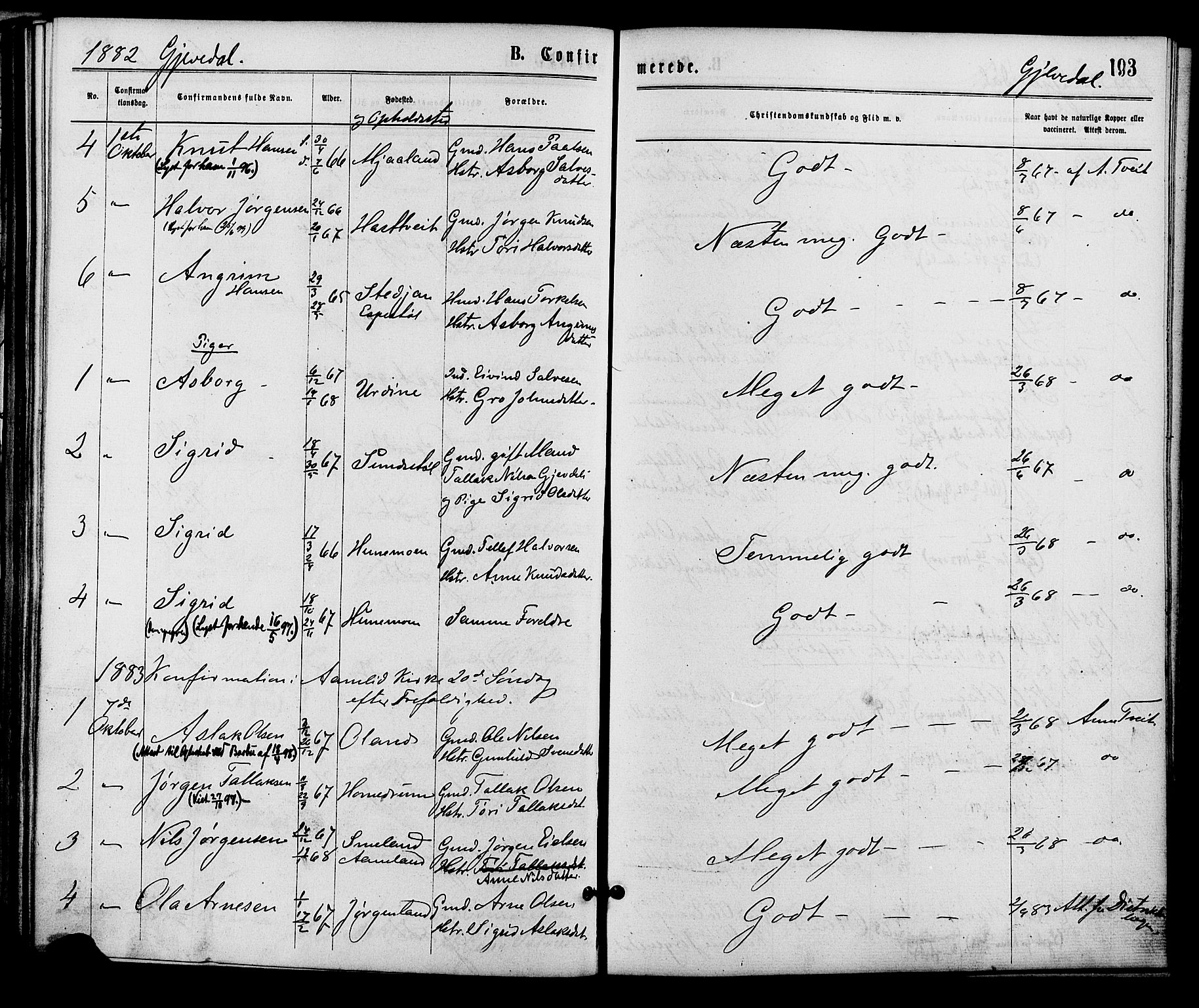 Åmli sokneprestkontor, AV/SAK-1111-0050/F/Fa/Fac/L0009: Parish register (official) no. A 9 /2, 1869-1884, p. 193