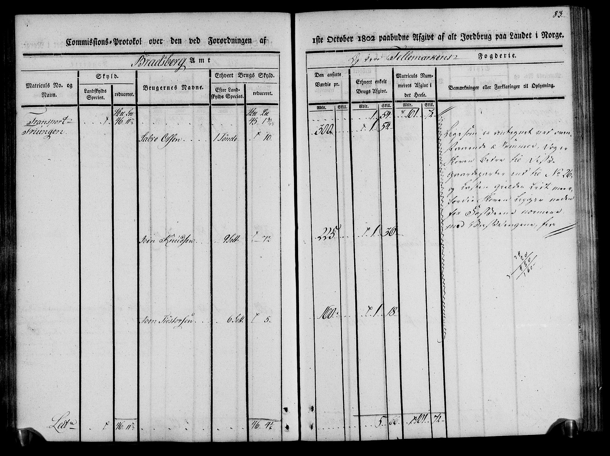 Rentekammeret inntil 1814, Realistisk ordnet avdeling, AV/RA-EA-4070/N/Ne/Nea/L0075: Øvre Telemarken fogderi. Kommisjonsprotokoll for fogderiets vestre del - Kviteseid, Vinje, Moland [):Fyresdal] og Lårdal prestegjeld., 1803, p. 83