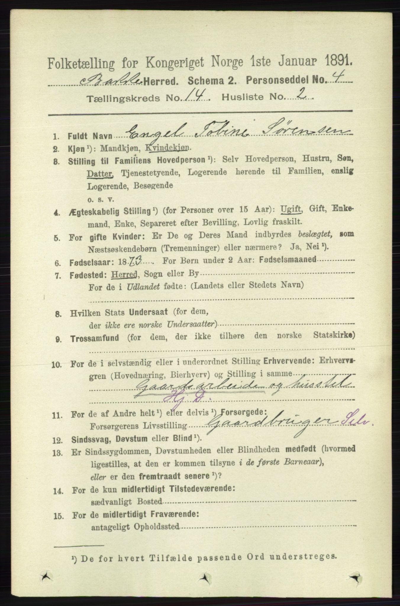 RA, 1891 census for 1045 Bakke, 1891, p. 2916