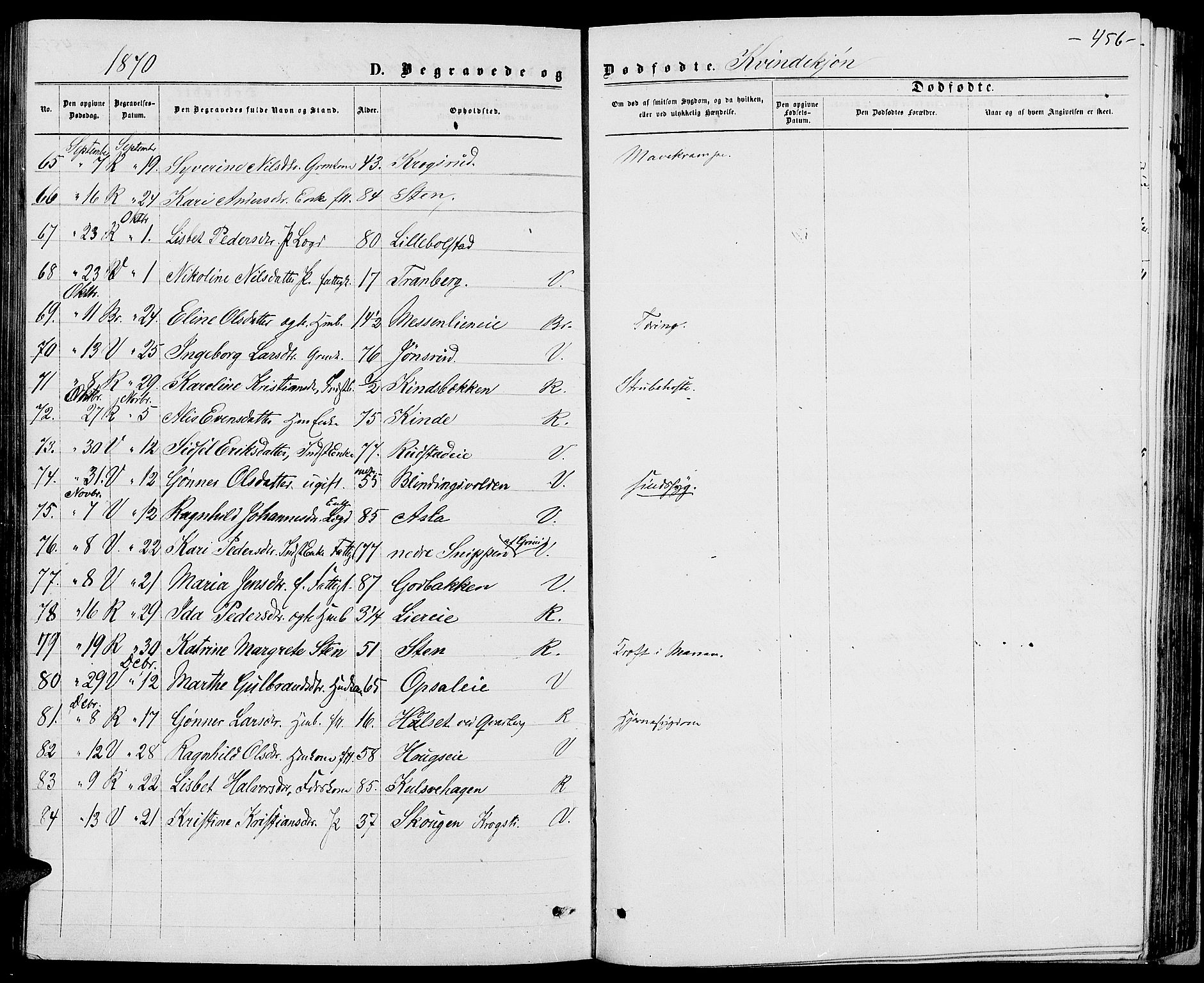 Ringsaker prestekontor, AV/SAH-PREST-014/L/La/L0008: Parish register (copy) no. 8, 1870-1878, p. 456