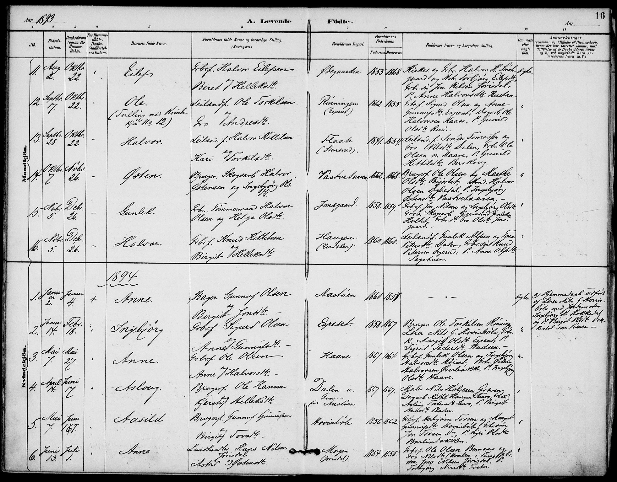 Gransherad kirkebøker, SAKO/A-267/F/Fb/L0005: Parish register (official) no. II 5, 1887-1916, p. 16