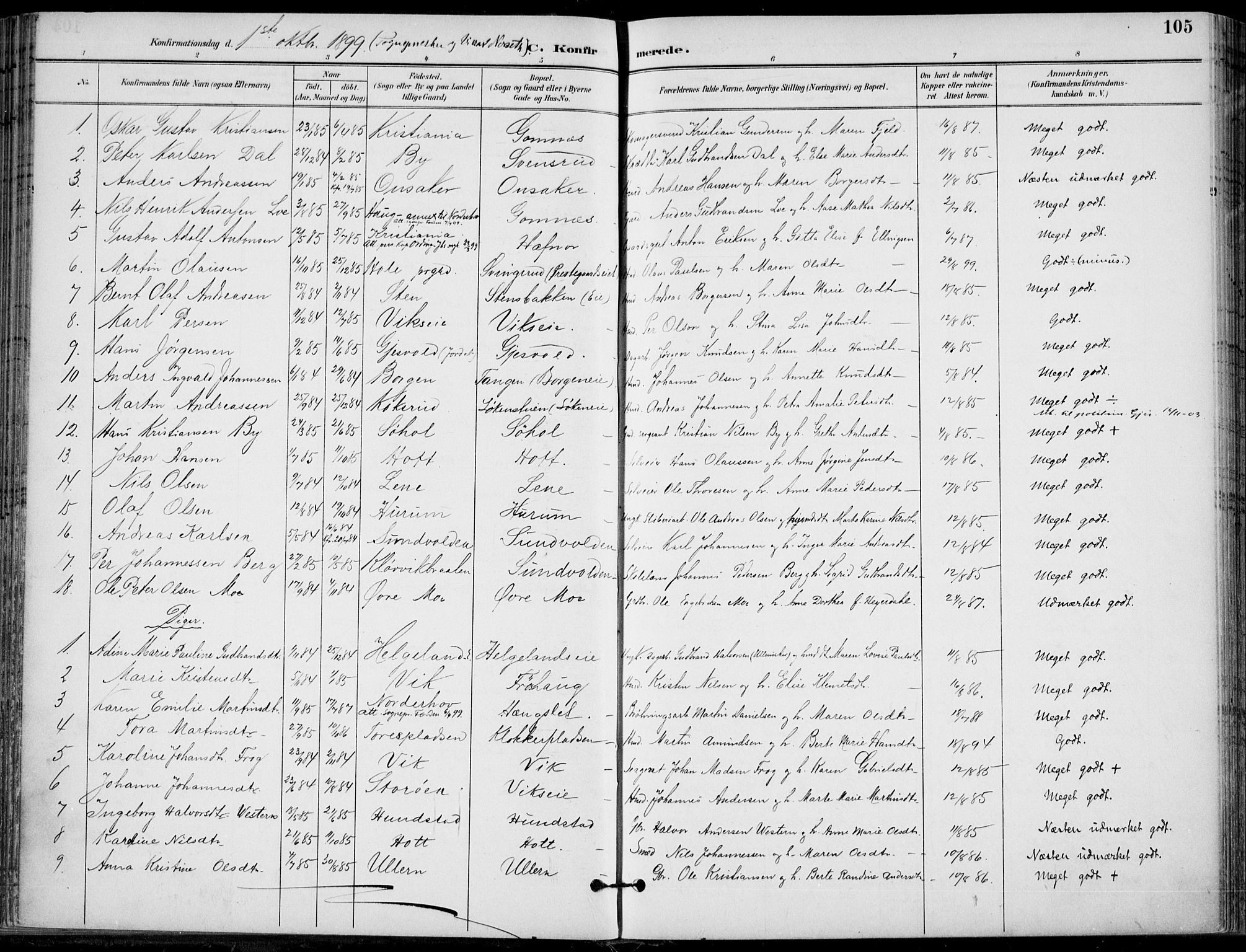 Hole kirkebøker, SAKO/A-228/F/Fa/L0009: Parish register (official) no. I 9, 1892-1907, p. 105
