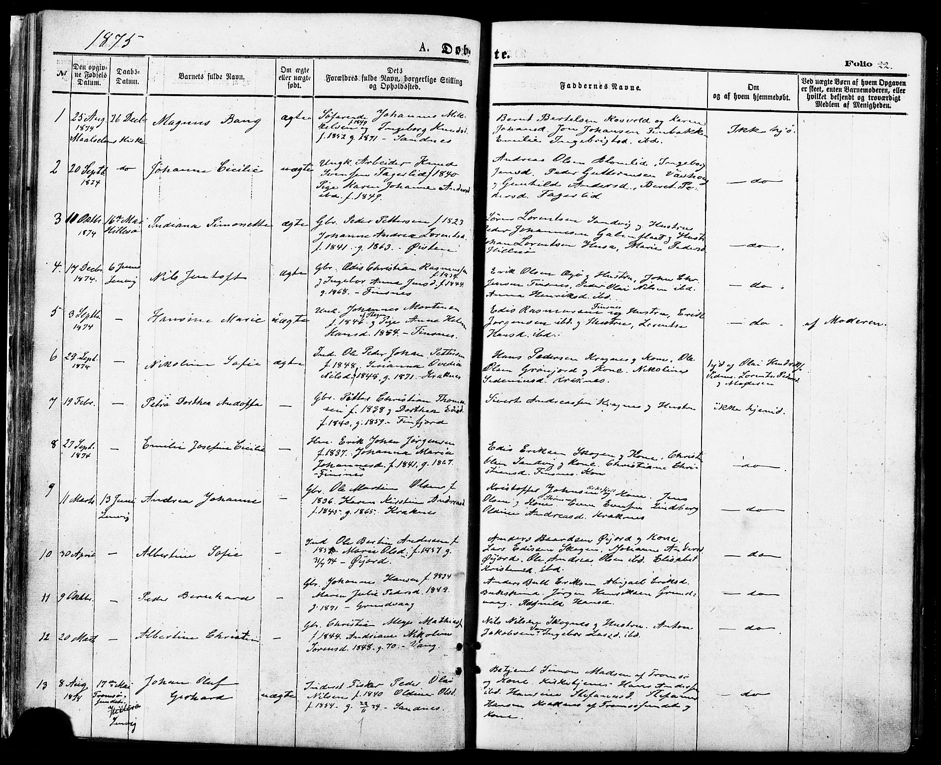 Lenvik sokneprestembete, SATØ/S-1310/H/Ha/Haa/L0010kirke: Parish register (official) no. 10, 1873-1880, p. 22