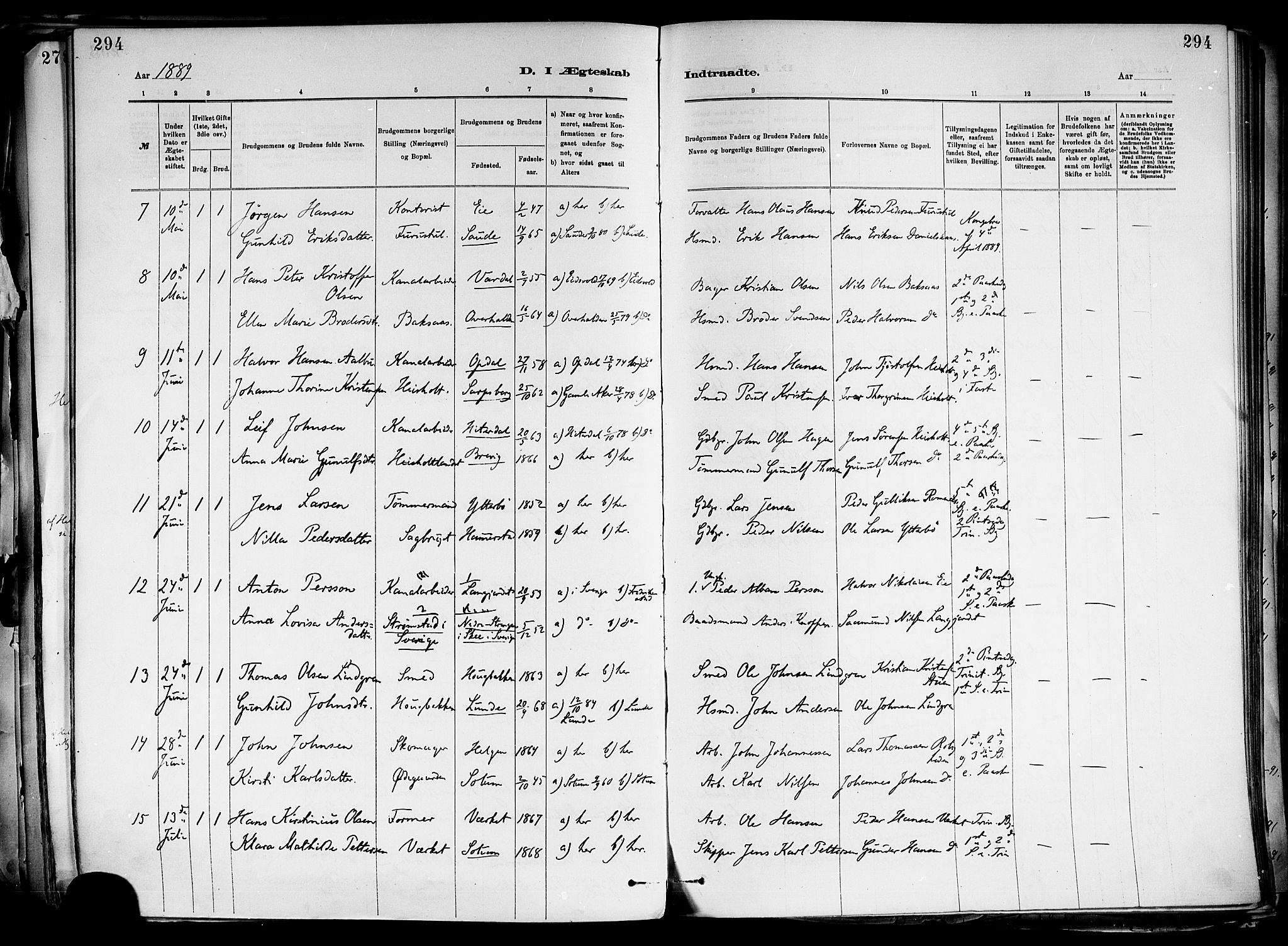 Holla kirkebøker, SAKO/A-272/F/Fa/L0008: Parish register (official) no. 8, 1882-1897, p. 294