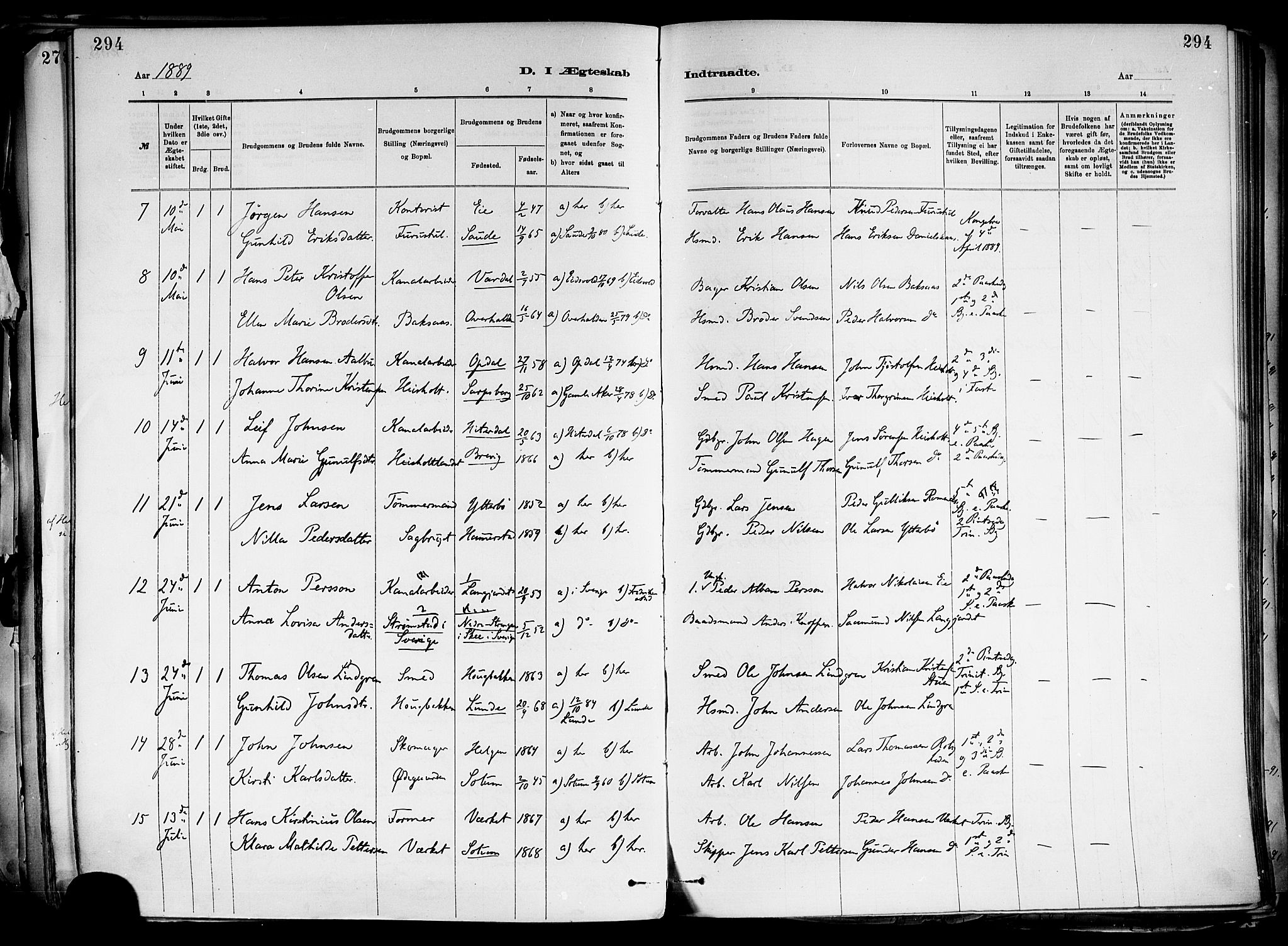 Holla kirkebøker, AV/SAKO-A-272/F/Fa/L0008: Parish register (official) no. 8, 1882-1897, p. 294