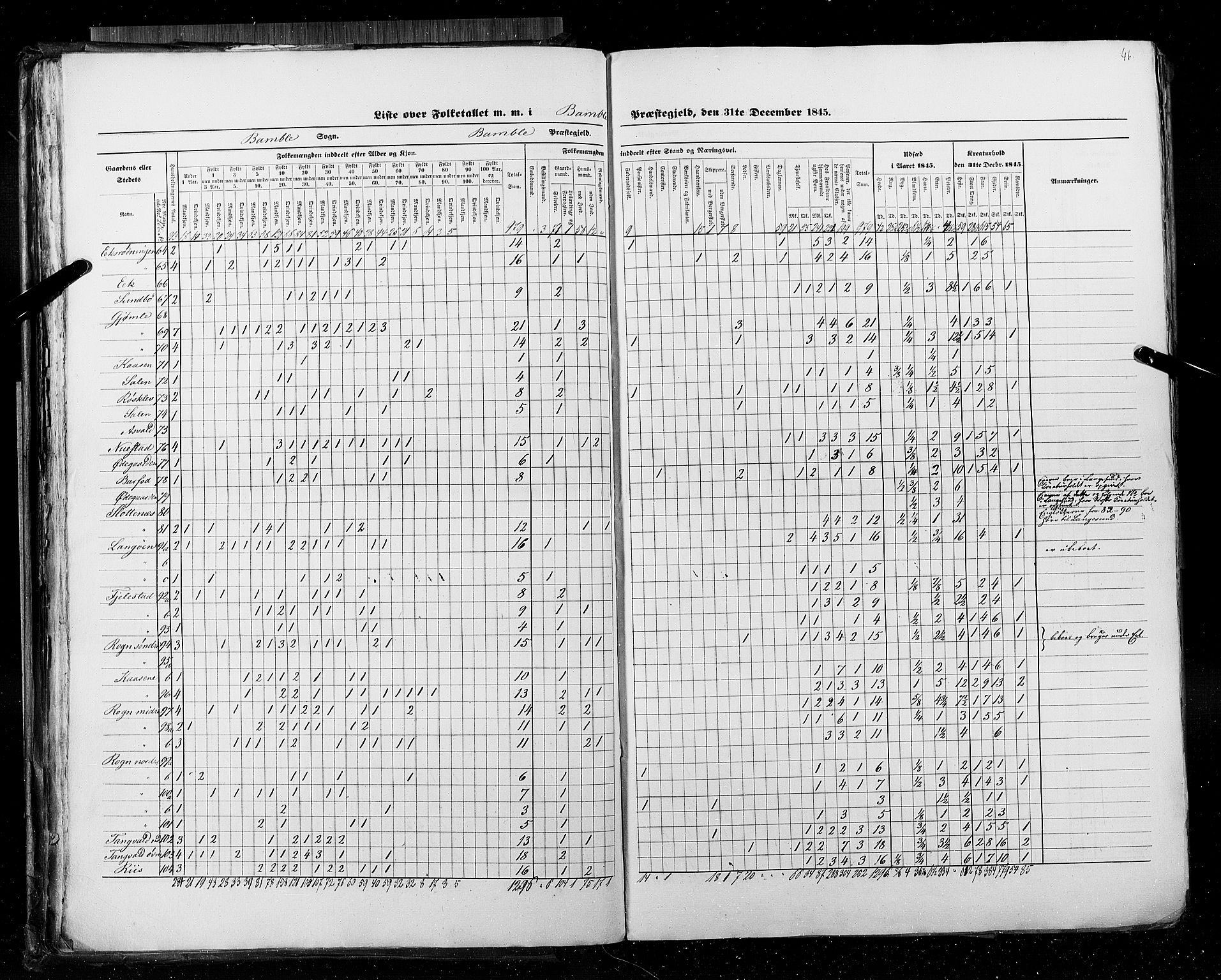 RA, Census 1845, vol. 5: Bratsberg amt og Nedenes og Råbyggelaget amt, 1845, p. 46