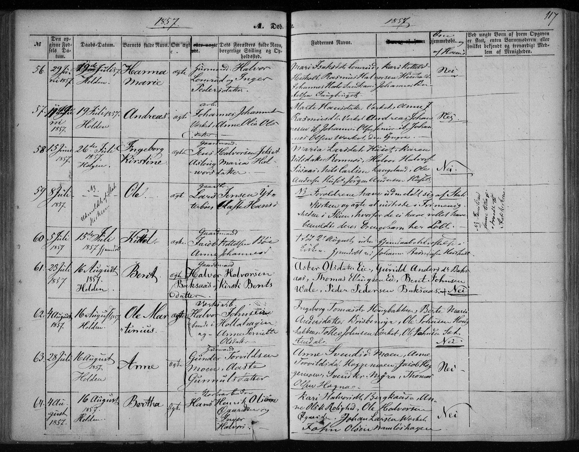 Holla kirkebøker, AV/SAKO-A-272/F/Fa/L0005: Parish register (official) no. 5, 1849-1860, p. 117