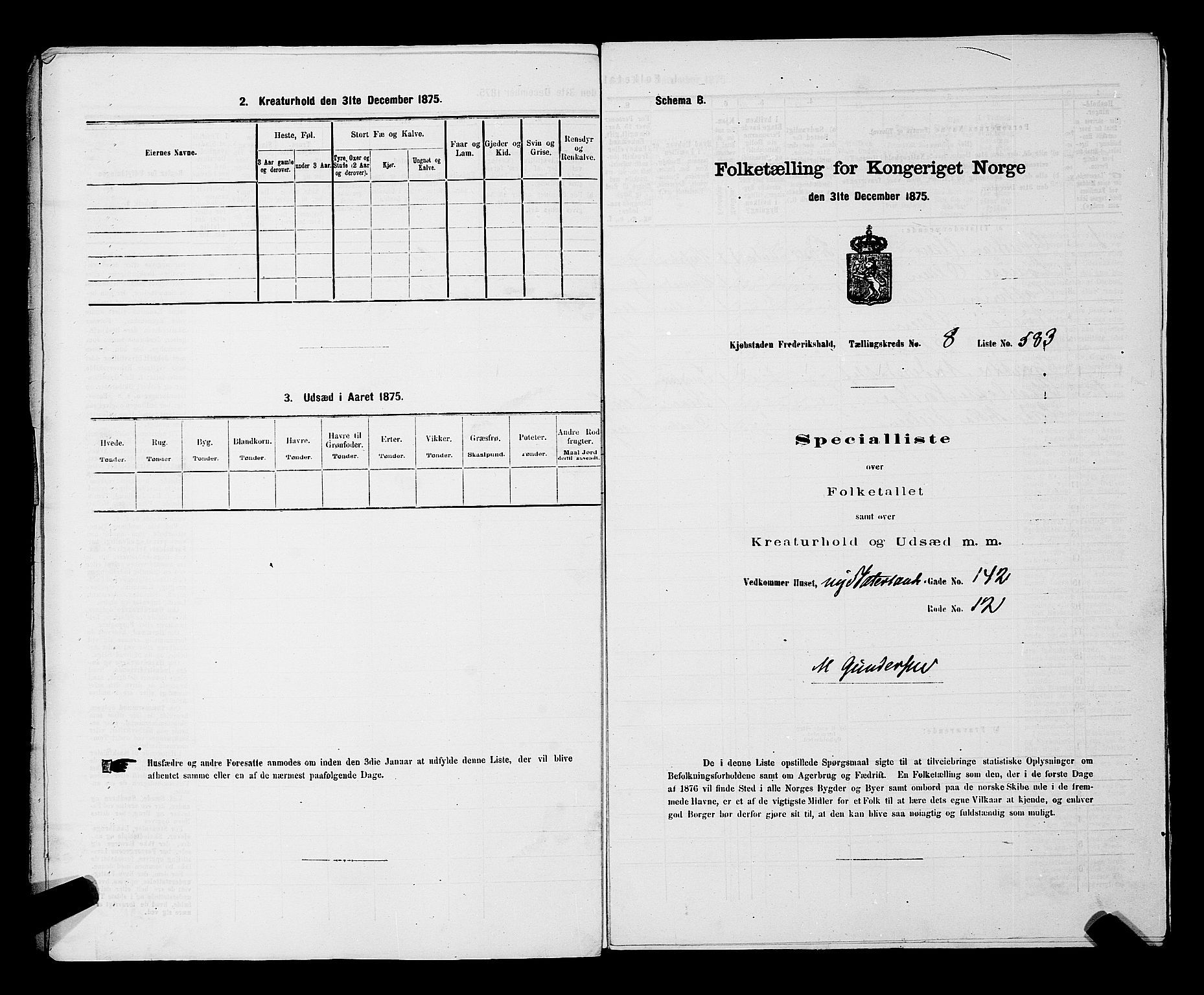 RA, 1875 census for 0101P Fredrikshald, 1875, p. 1417