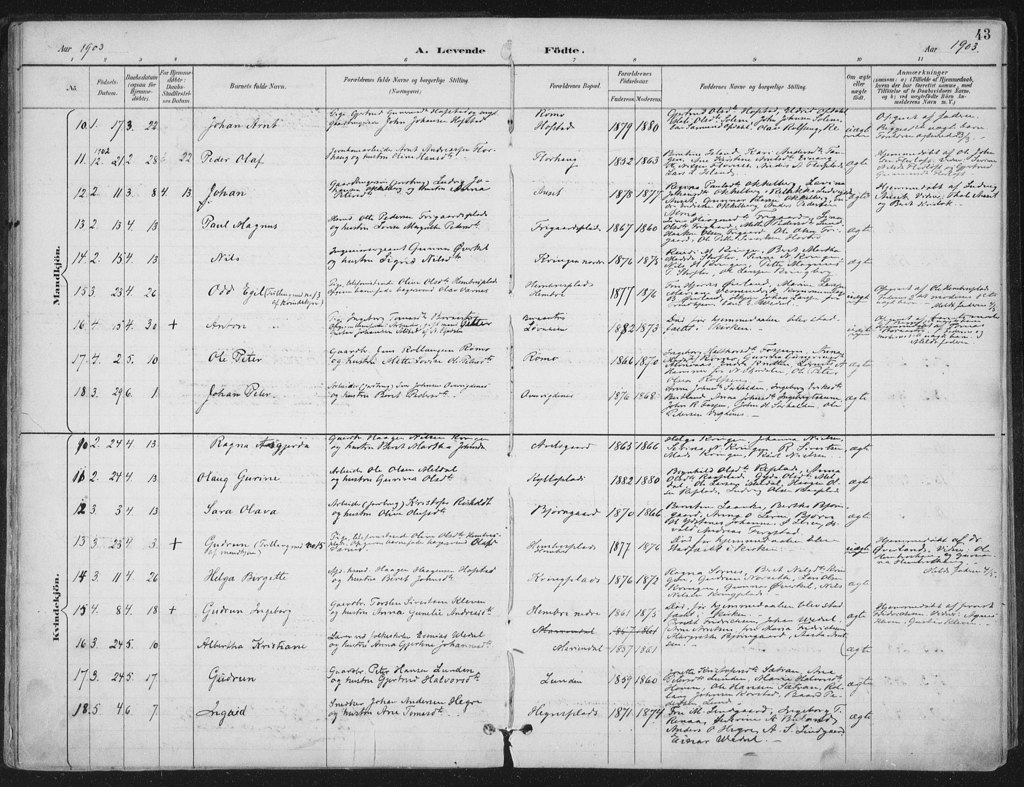 Ministerialprotokoller, klokkerbøker og fødselsregistre - Nord-Trøndelag, SAT/A-1458/703/L0031: Parish register (official) no. 703A04, 1893-1914, p. 43