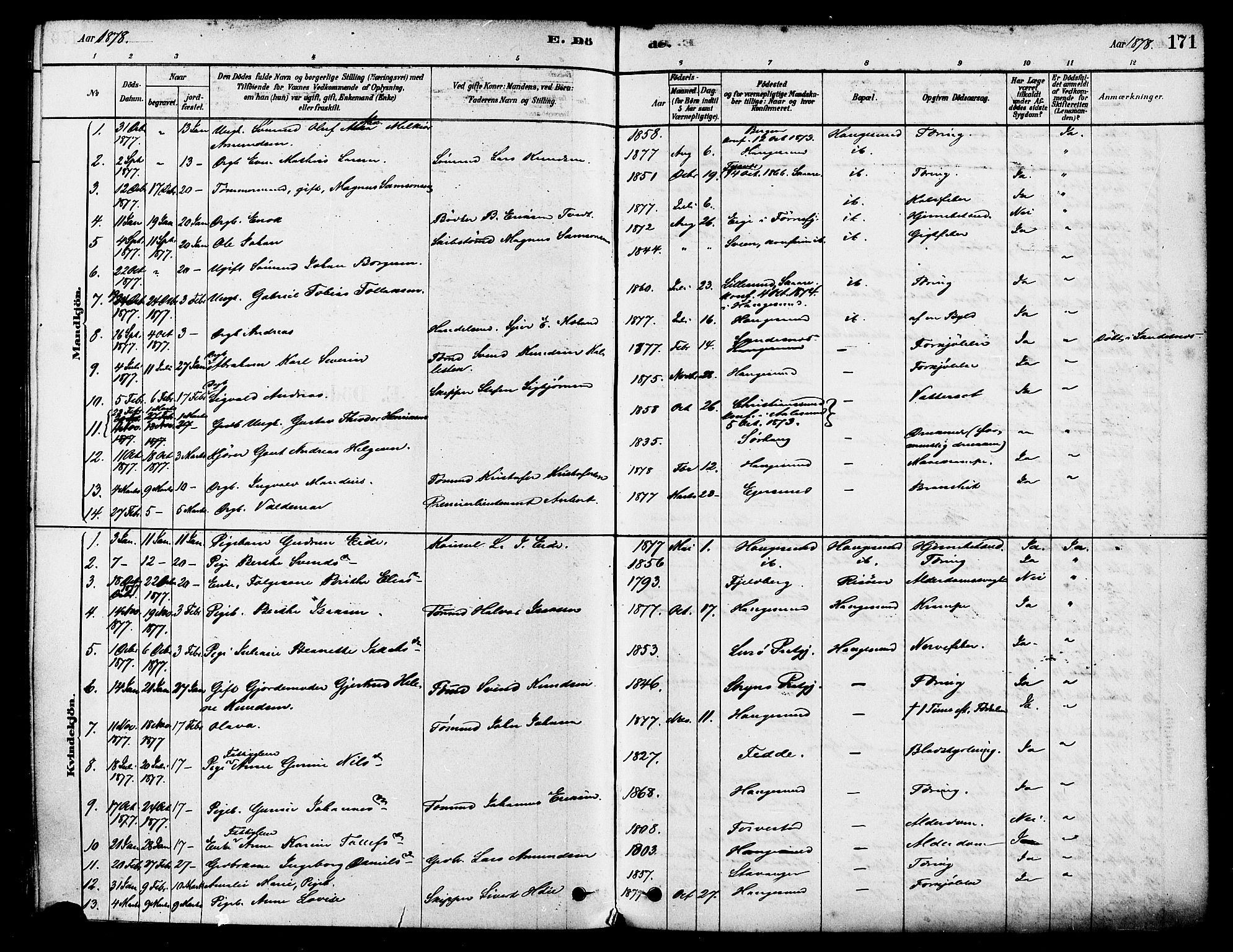 Haugesund sokneprestkontor, AV/SAST-A -101863/H/Ha/Haa/L0001: Parish register (official) no. A 1, 1878-1885, p. 171