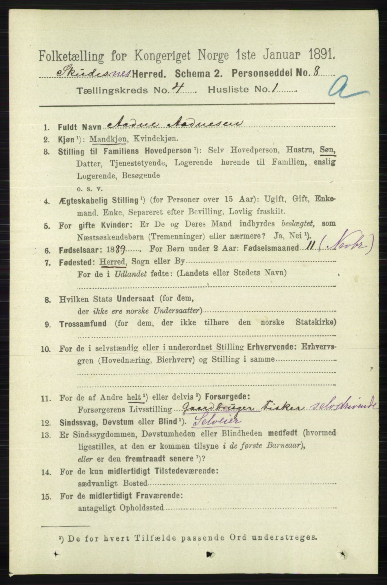 RA, 1891 census for 1150 Skudenes, 1891, p. 1877