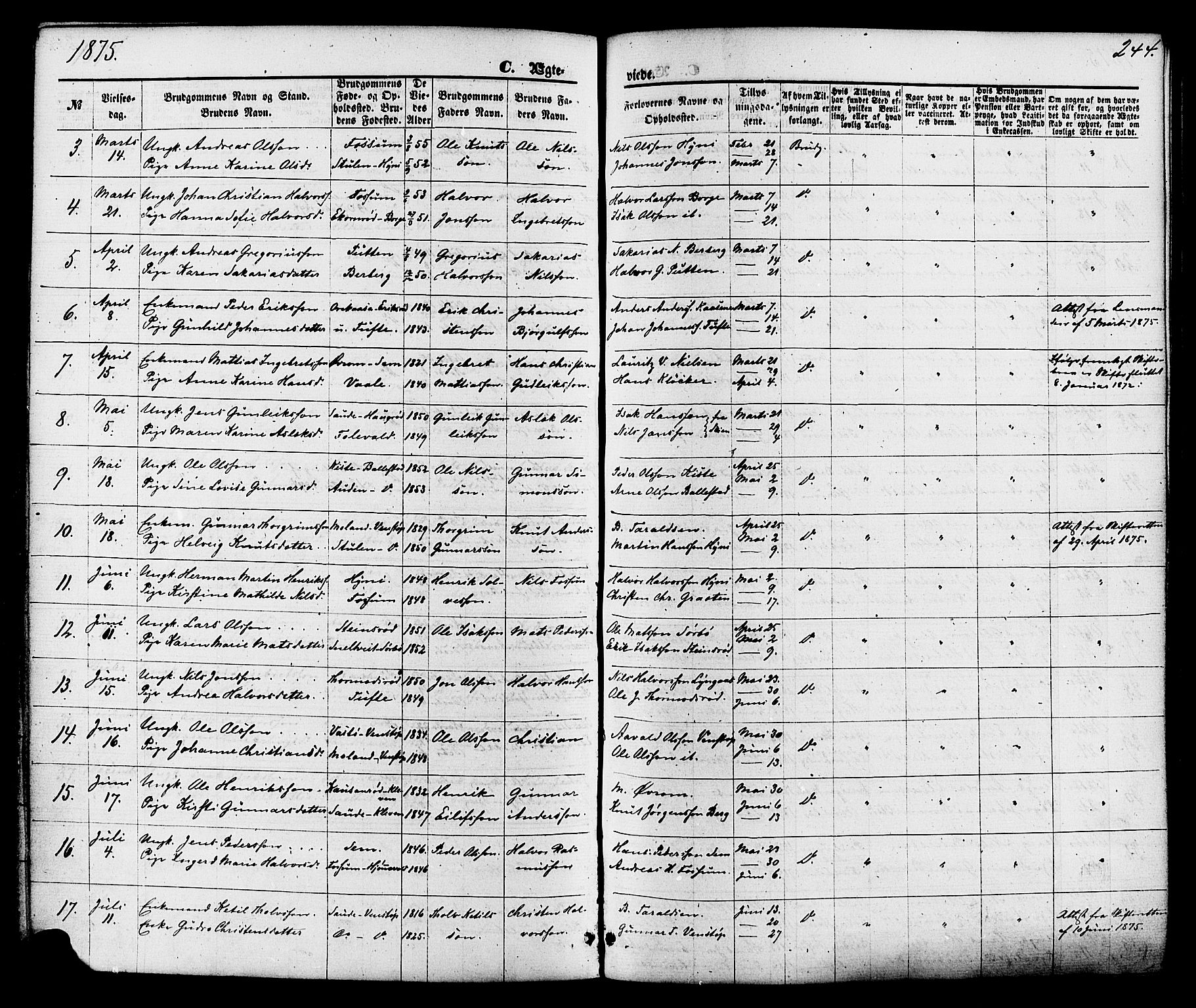Gjerpen kirkebøker, SAKO/A-265/F/Fa/L0009: Parish register (official) no. I 9, 1872-1885, p. 244