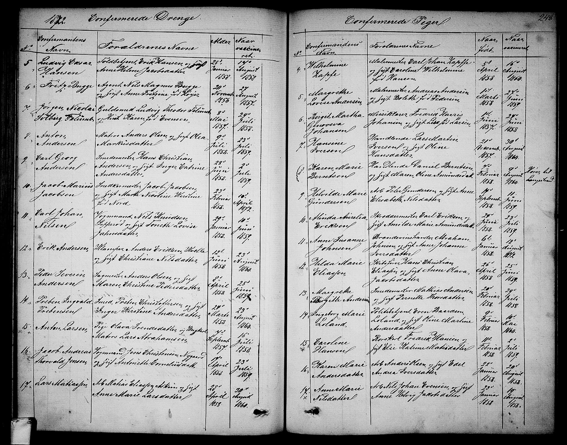 Larvik kirkebøker, AV/SAKO-A-352/G/Ga/L0004: Parish register (copy) no. I 4, 1871-1888, p. 248