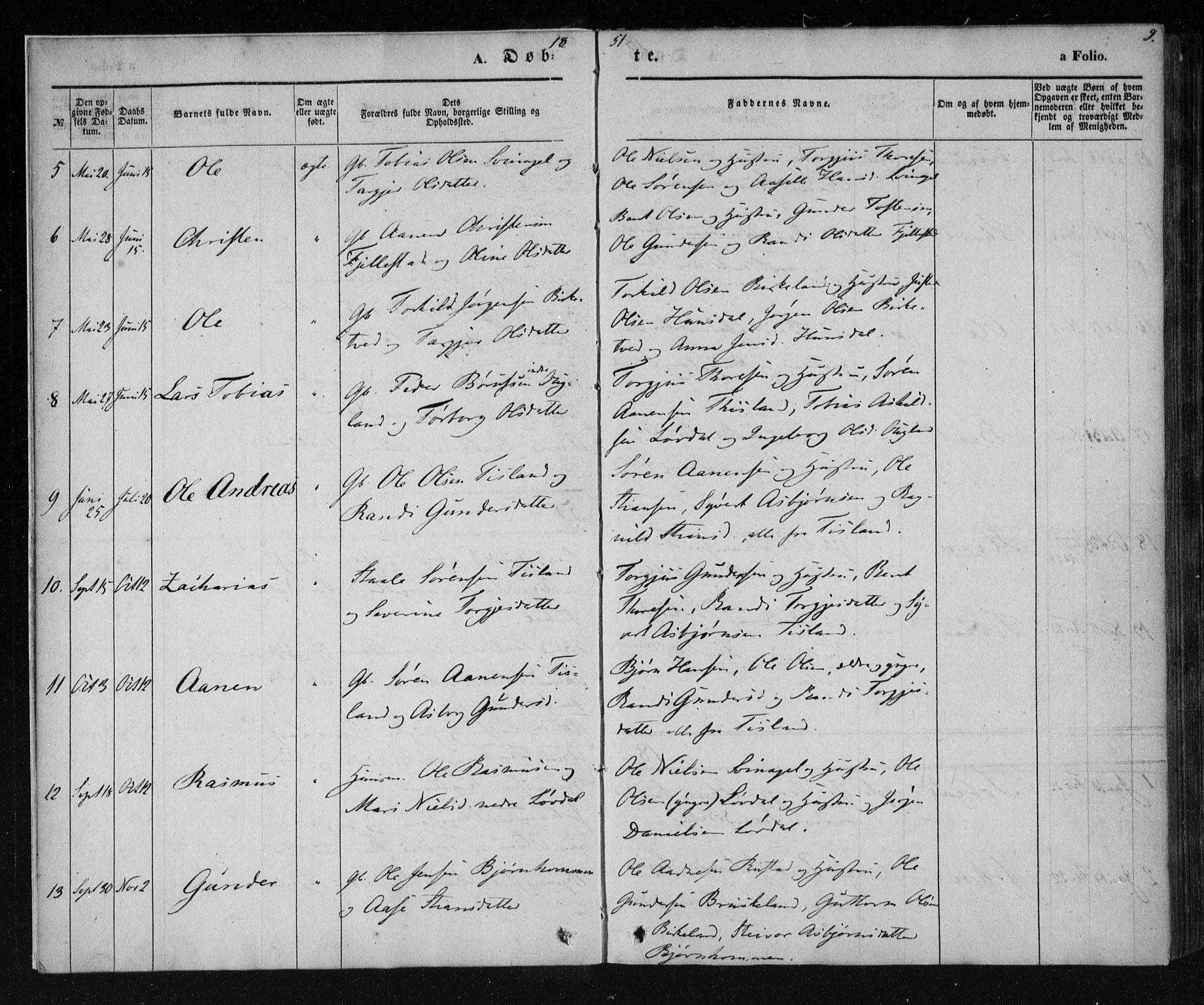 Holum sokneprestkontor, AV/SAK-1111-0022/F/Fa/Fab/L0005: Parish register (official) no. A 5, 1847-1874, p. 9