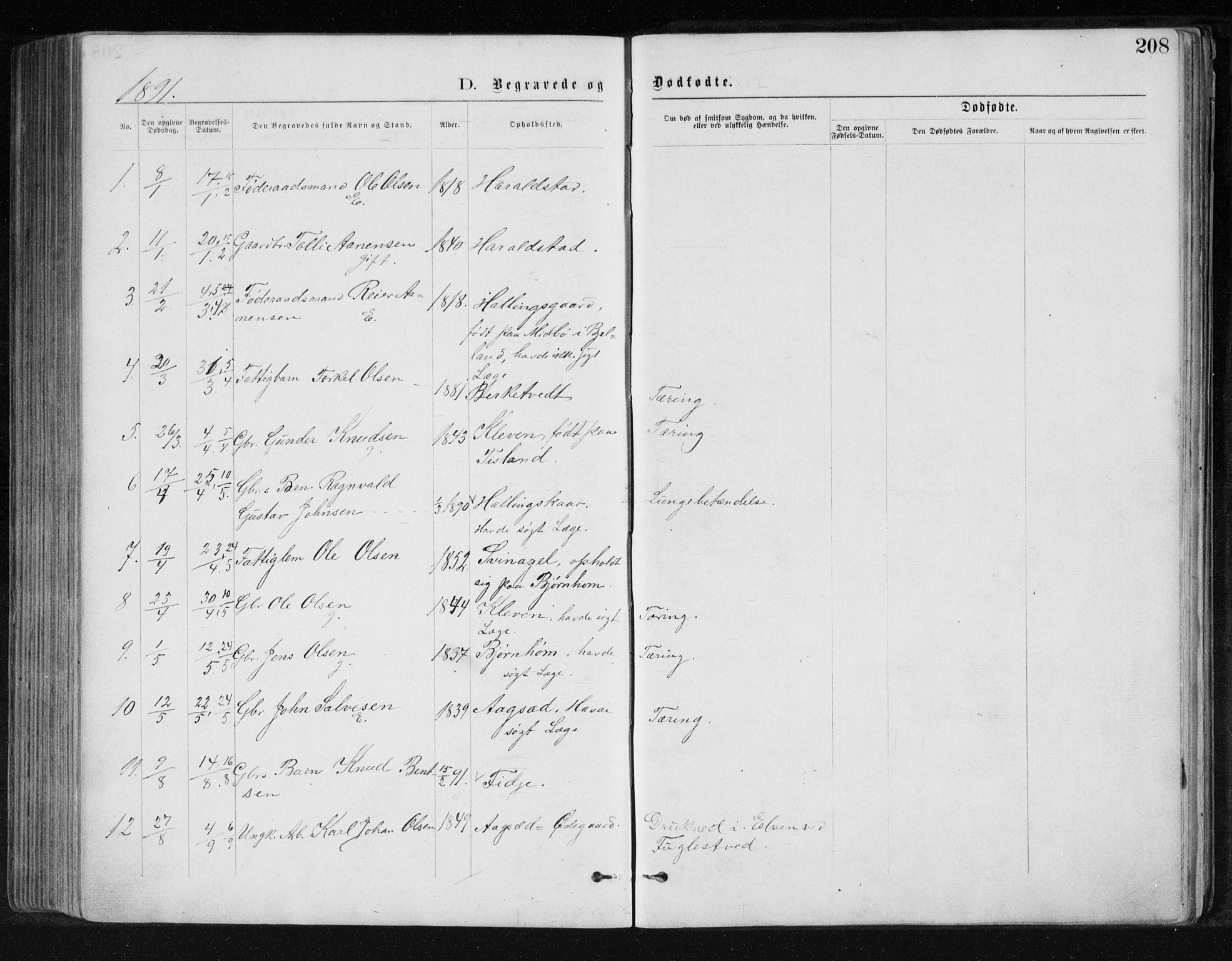 Holum sokneprestkontor, SAK/1111-0022/F/Fb/Fbb/L0003: Parish register (copy) no. B 3, 1875-1898, p. 208