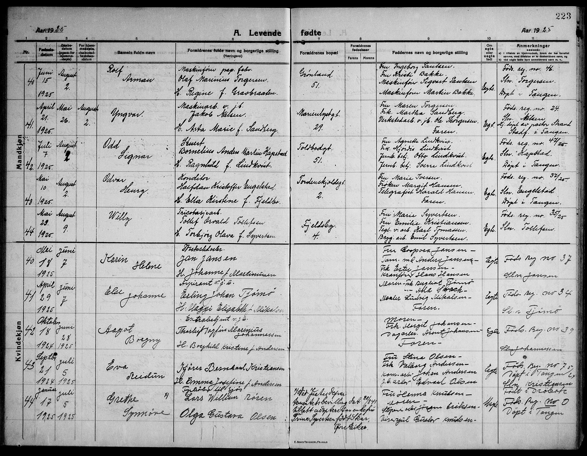 Strømsø kirkebøker, AV/SAKO-A-246/F/Fa/L0029: Parish register (official) no. I 27, 1915-1930, p. 223