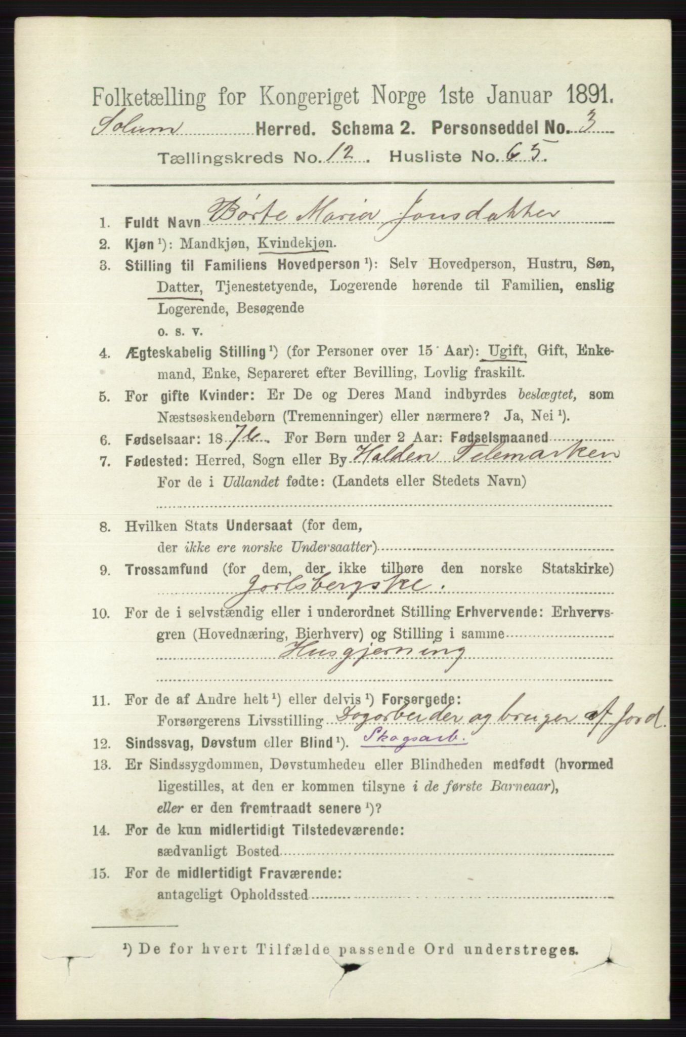 RA, 1891 census for 0818 Solum, 1891, p. 5988