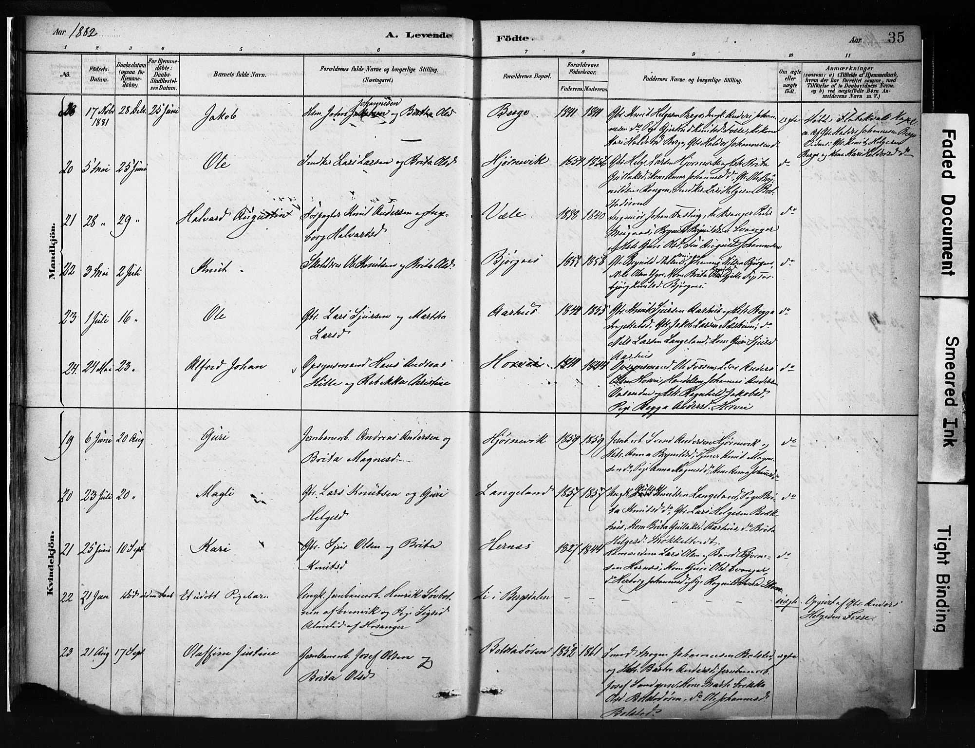 Evanger sokneprestembete, AV/SAB-A-99924: Parish register (official) no. A 1, 1877-1899, p. 35