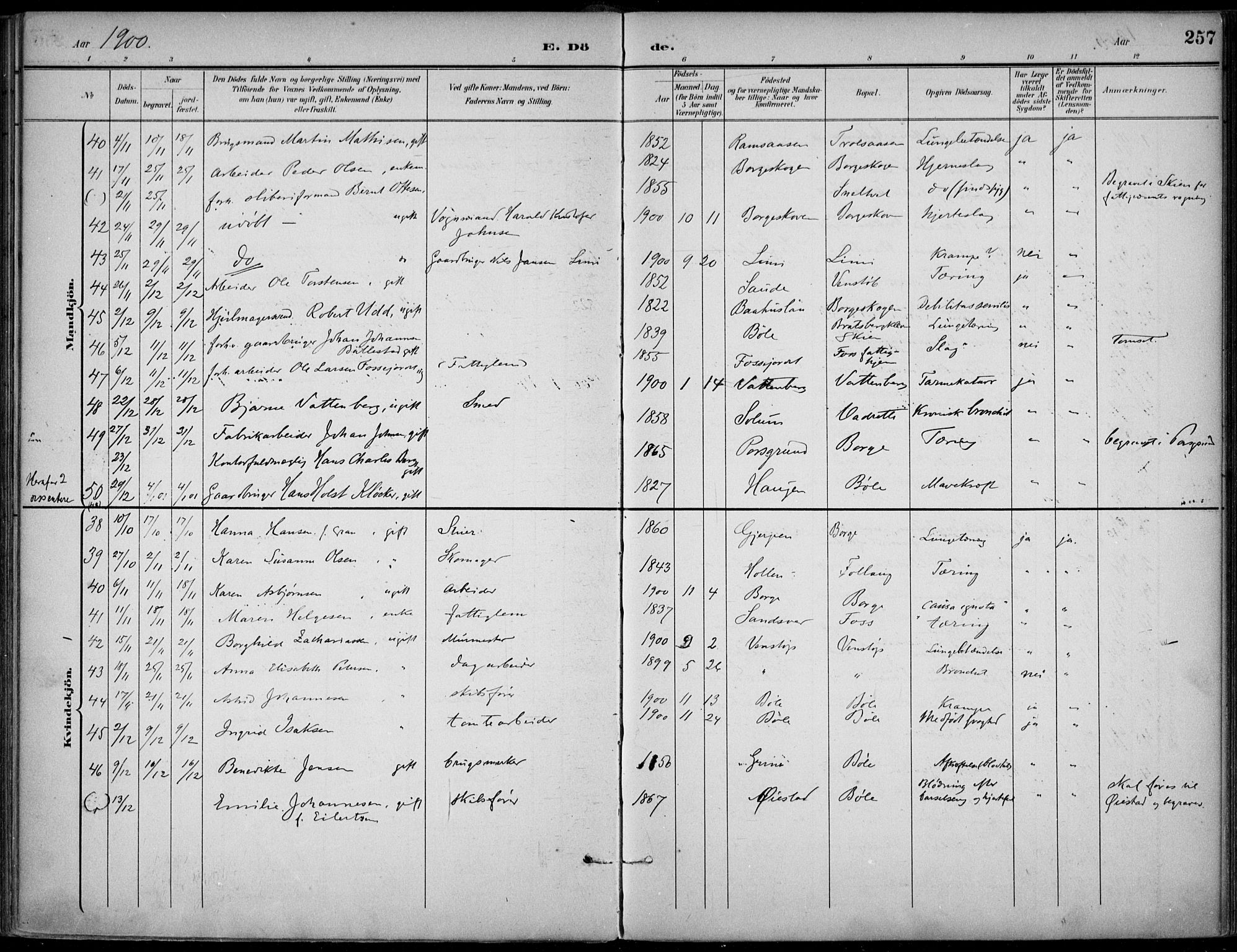 Gjerpen kirkebøker, SAKO/A-265/F/Fa/L0011: Parish register (official) no. I 11, 1896-1904, p. 257